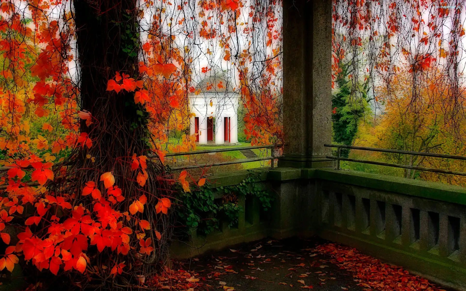 Altana, Jesień, Drzewa, Park
