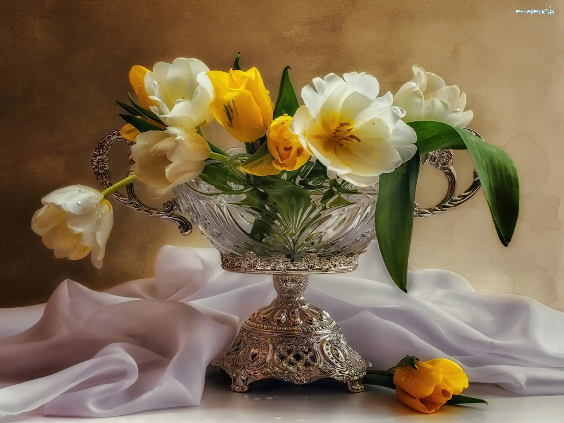 Wazon, Tulipany