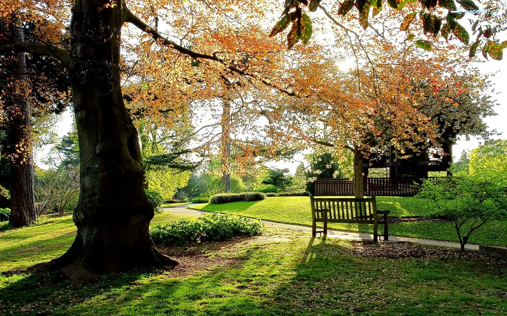 Ławeczka, Park, Jesień