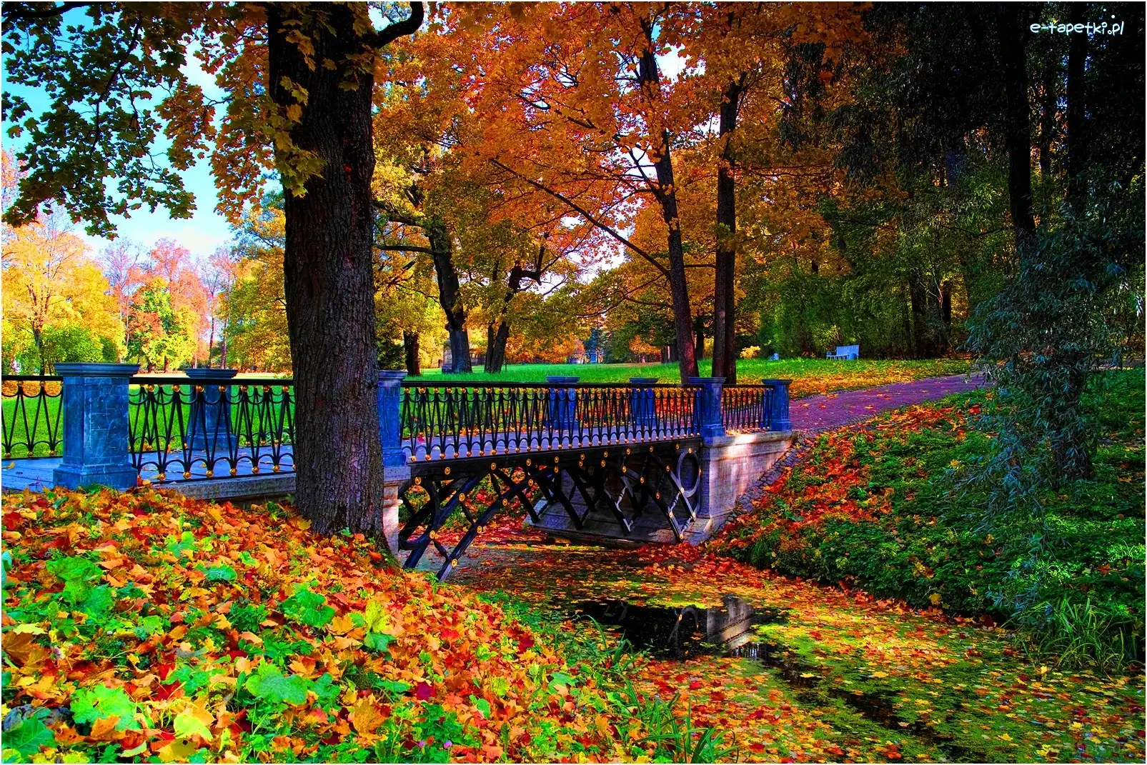 Jesień, Most, Park