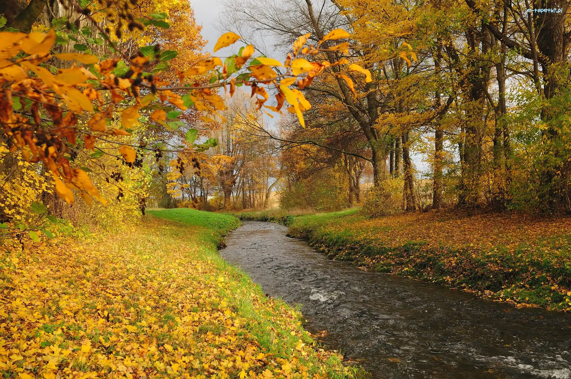 Park, Jesień, Liście, Rzeka