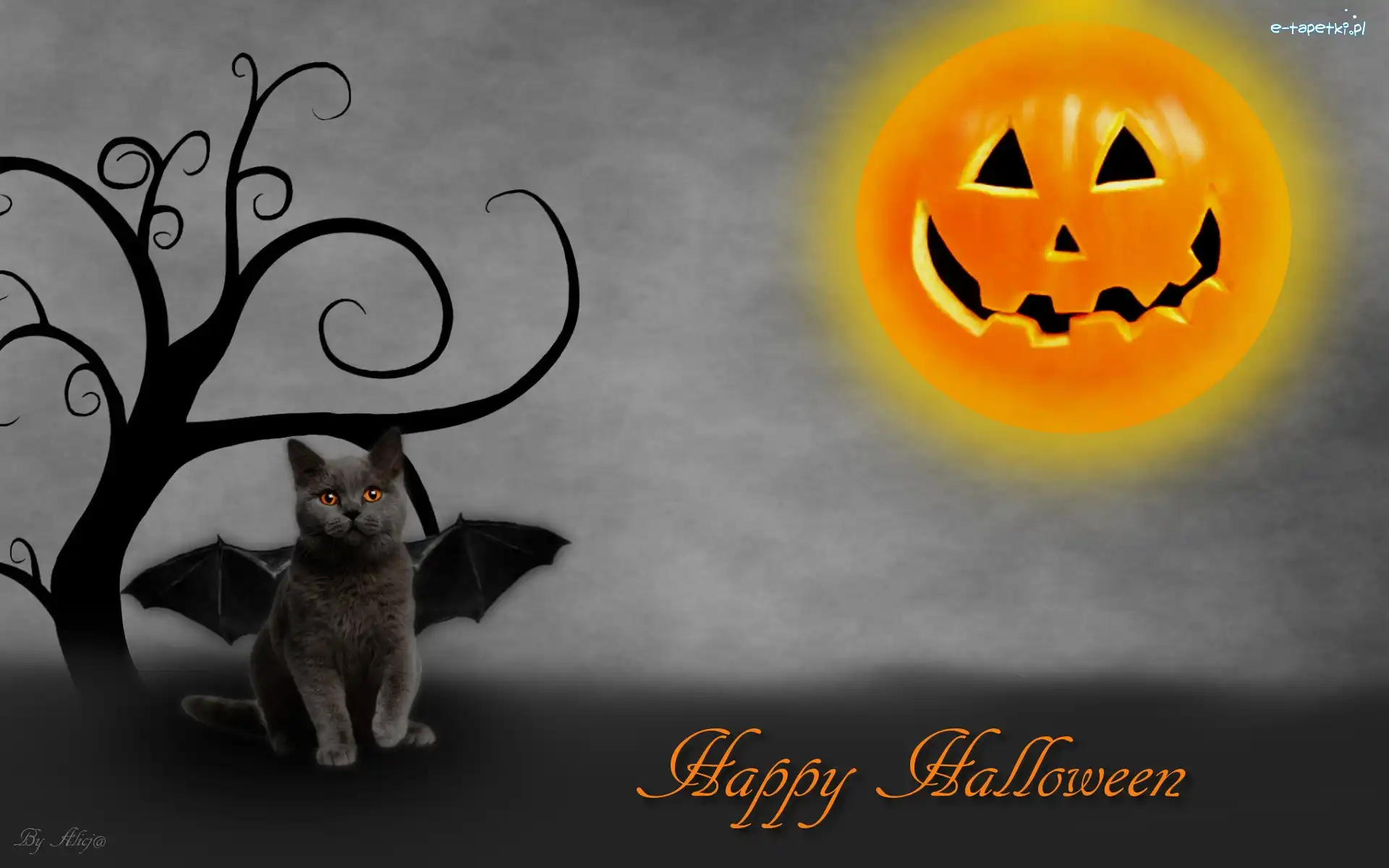 Kot, Drzewo, Dynia, Halloween