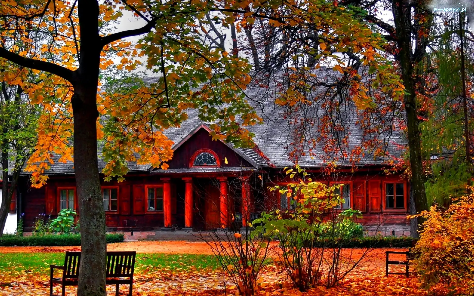 Park, Liście, Drzewa, Budynek, Ławki