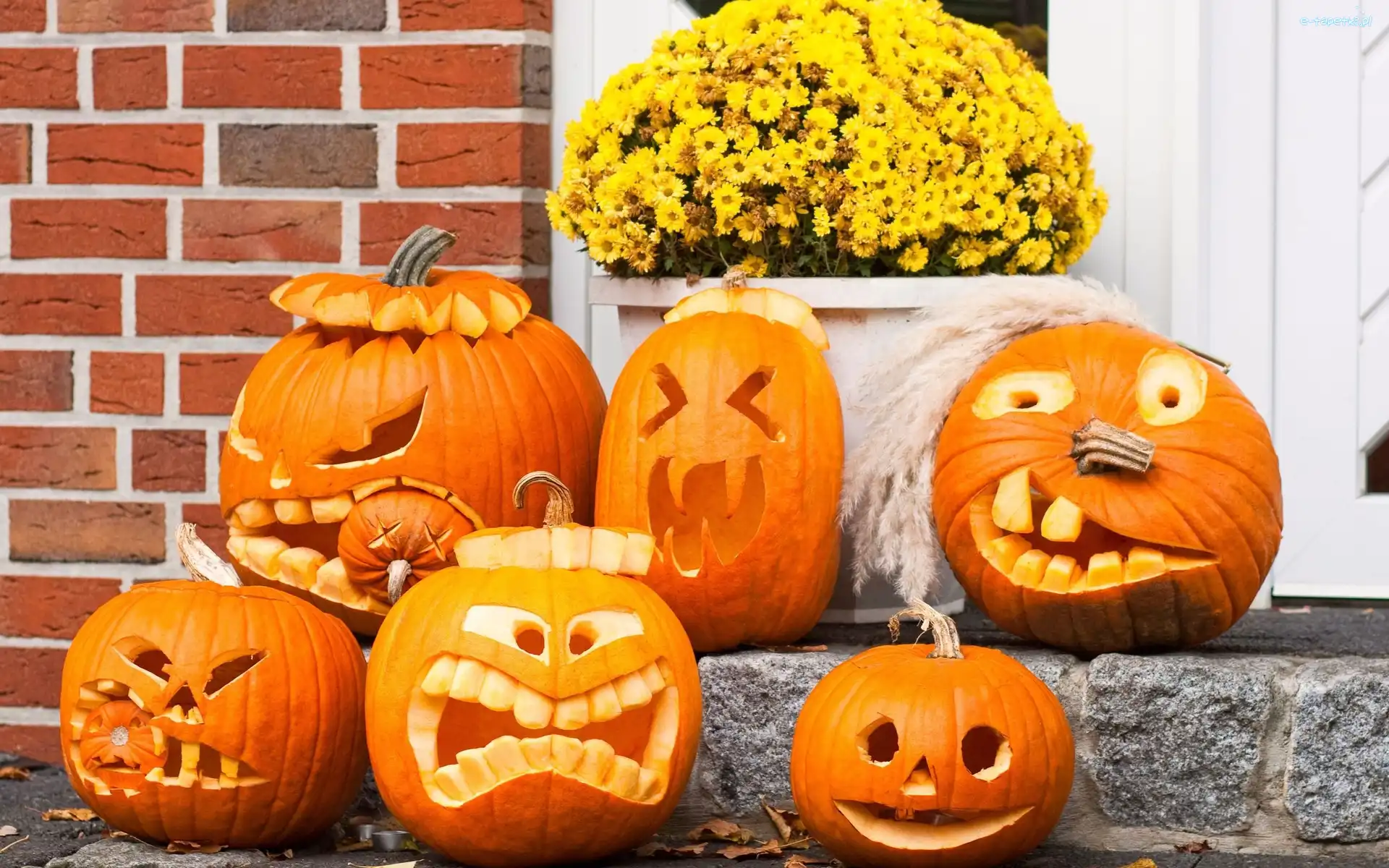 Halloween, Kwiatki, Dynie