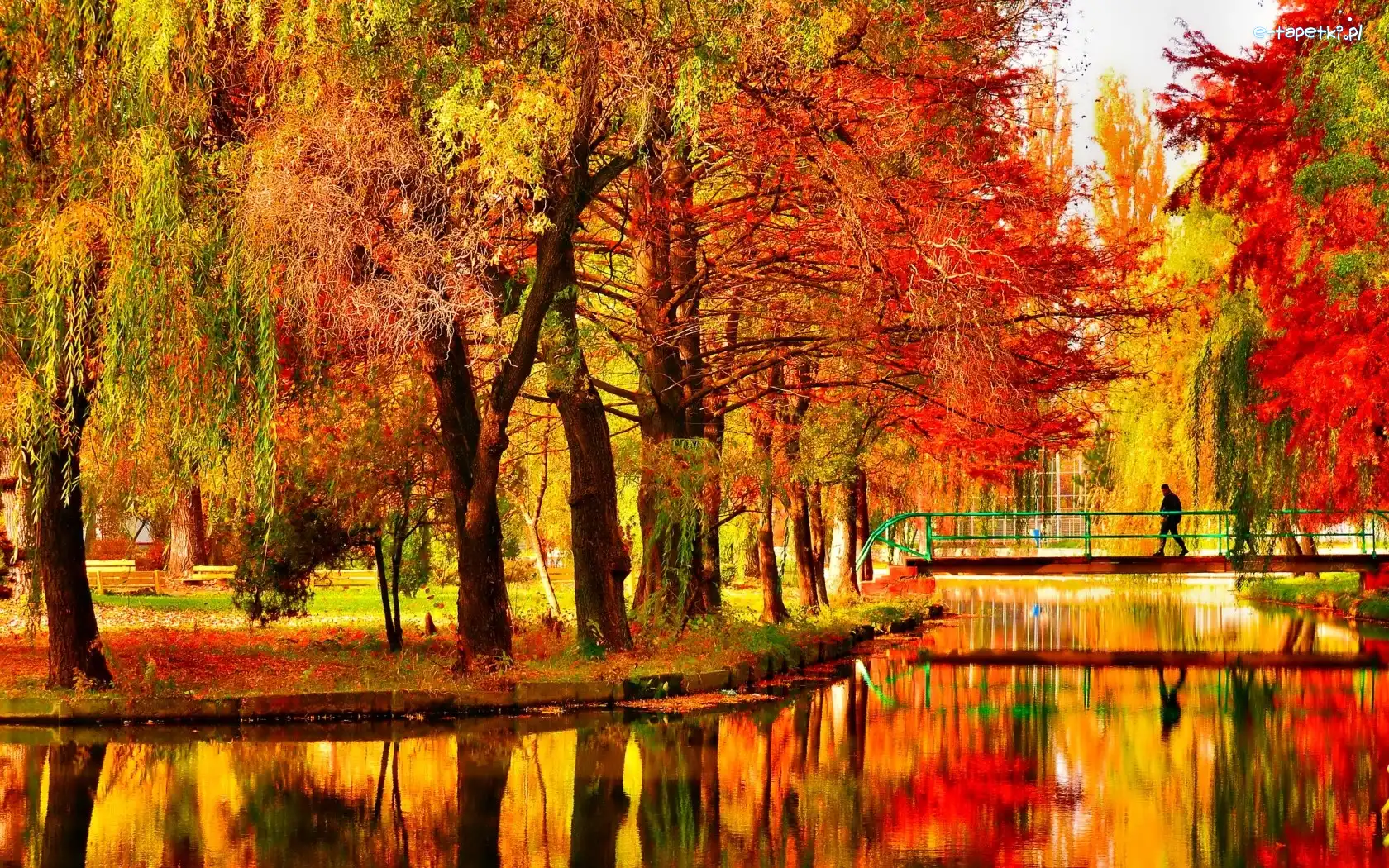 Park, Mostek, Staw, Jesień