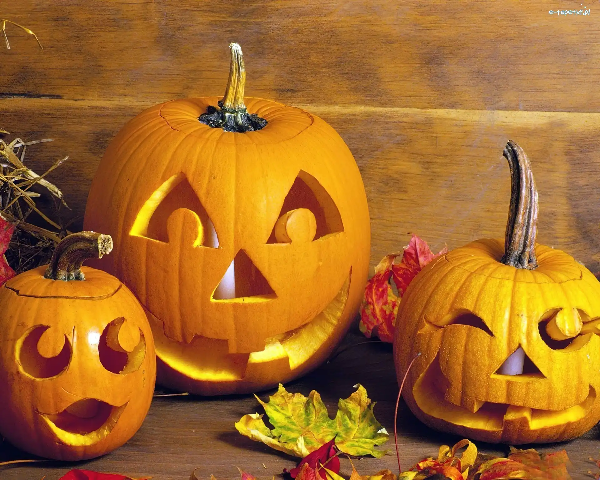 Halloween, Liście, Dynie