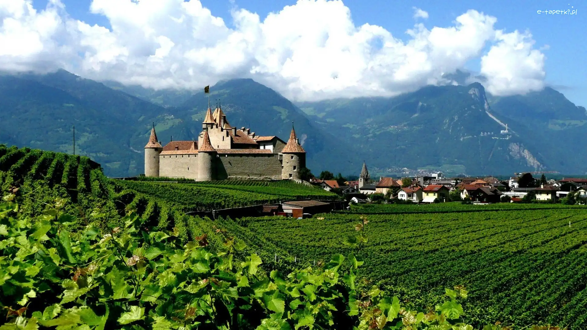 Region Chablais Vaudois, Winnice, Szwajcaria, Zamek Aigle Castle