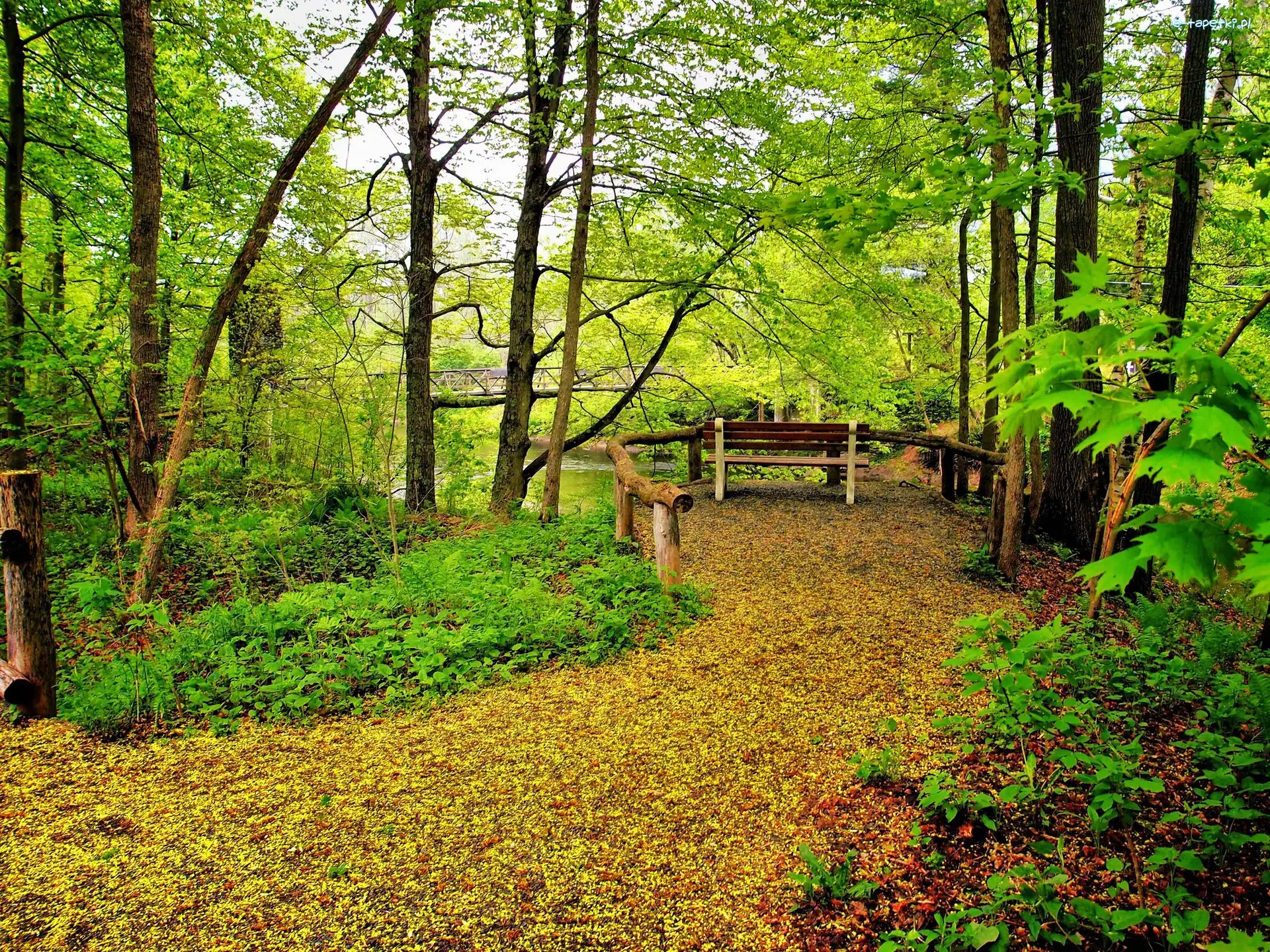 Stary, Rzeczka, Park, Jesień, Mostek