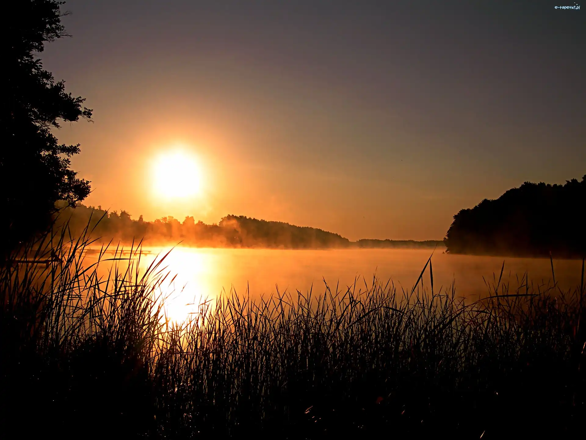 Trawka, Jezioro, Zachód Słońca