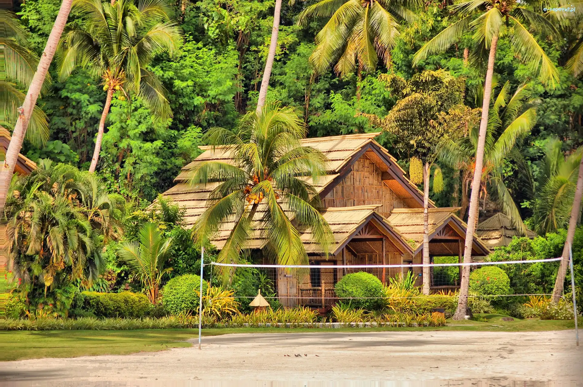 Davao, Kurort, Wyspa Samal, Filipiny, Domek, Palmy