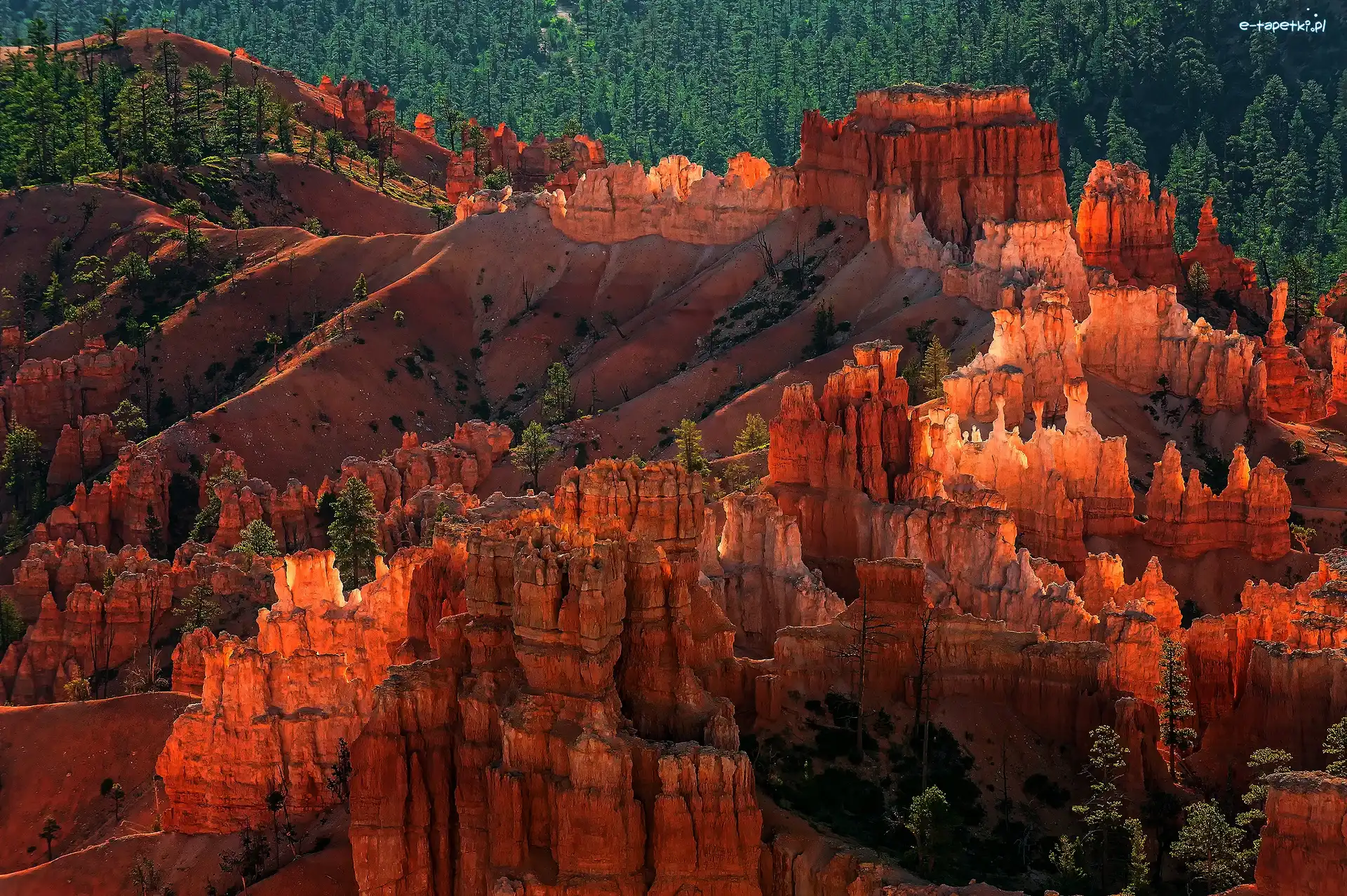 Kanion, Park Narodowy Bryce Canyon, Skały, Las, Stan Utah, Stany Zjednoczone