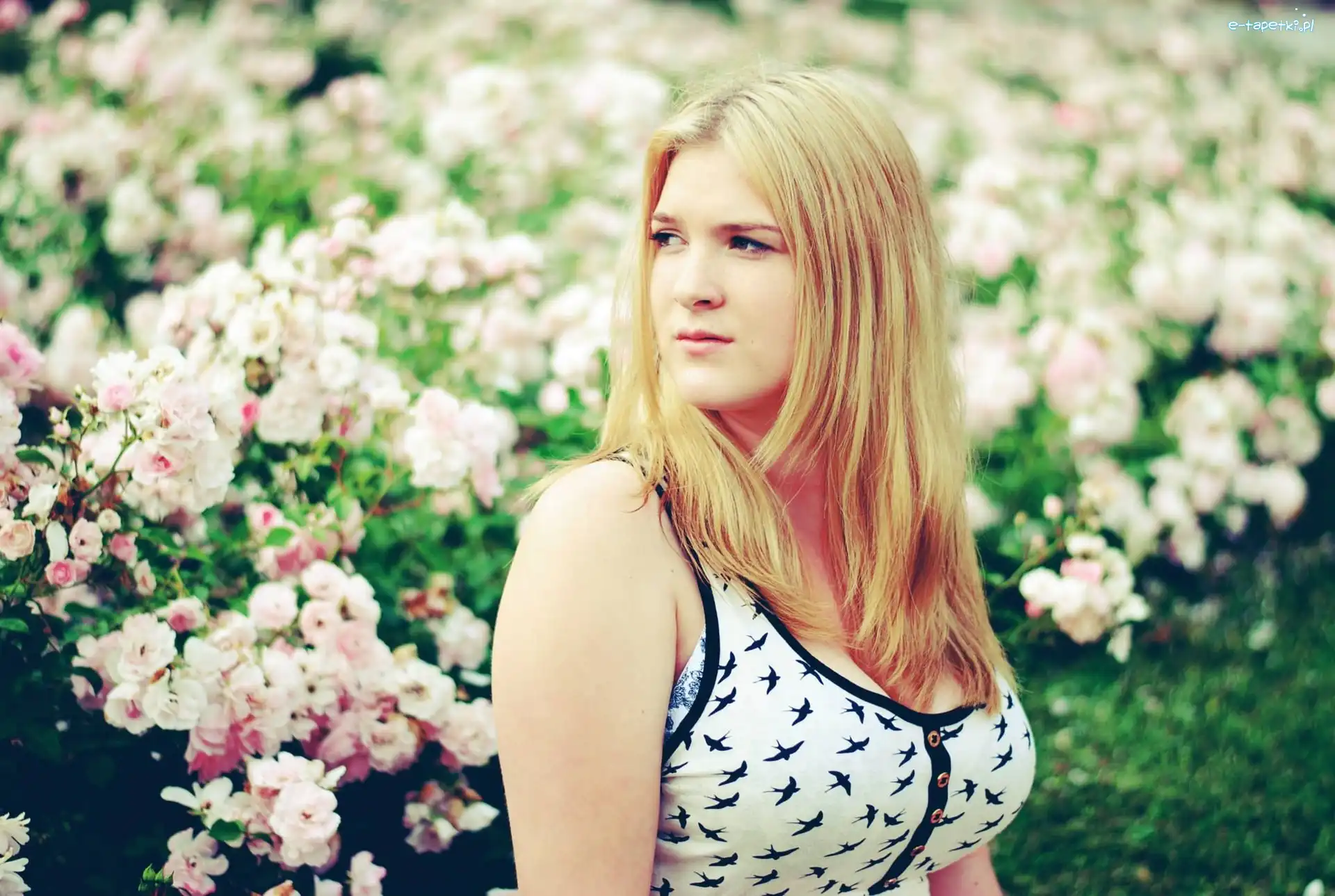 Blondynka, Kwiaty, Różowe, Kobieta