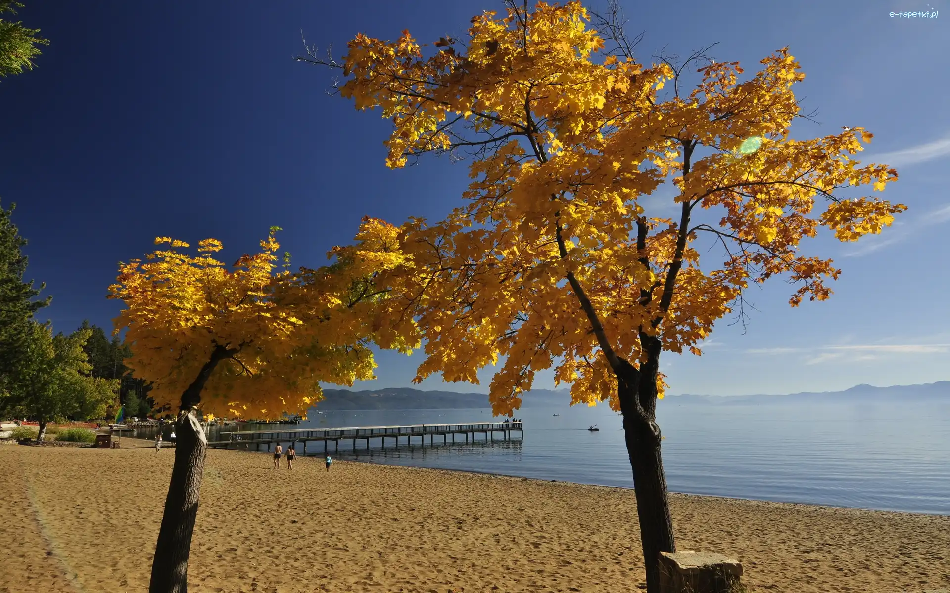 Plaża, Drzewa, Molo, Jesień, Morze