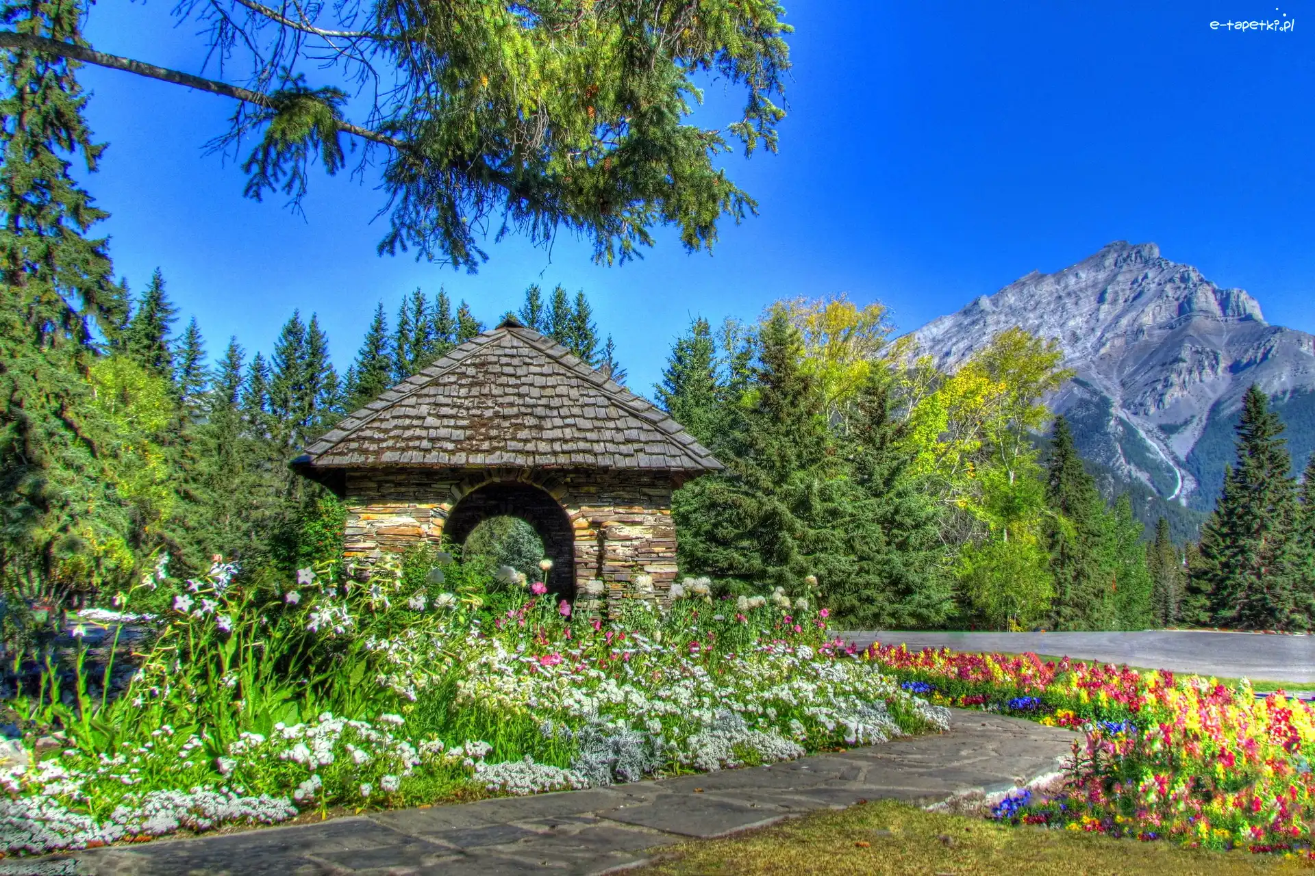 Ogród, Park, Góry