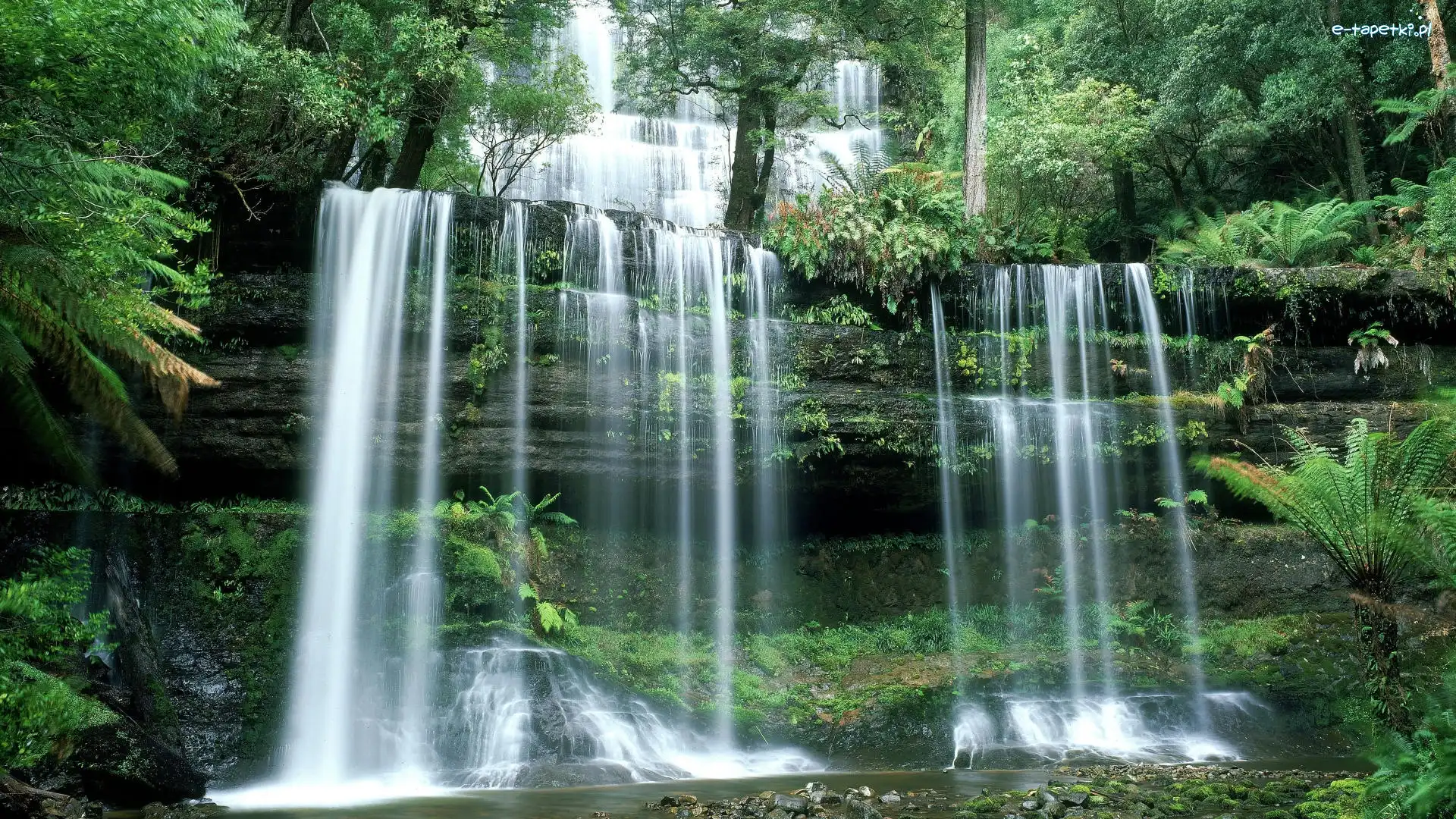 Australia, Russell Falls, Wodospad