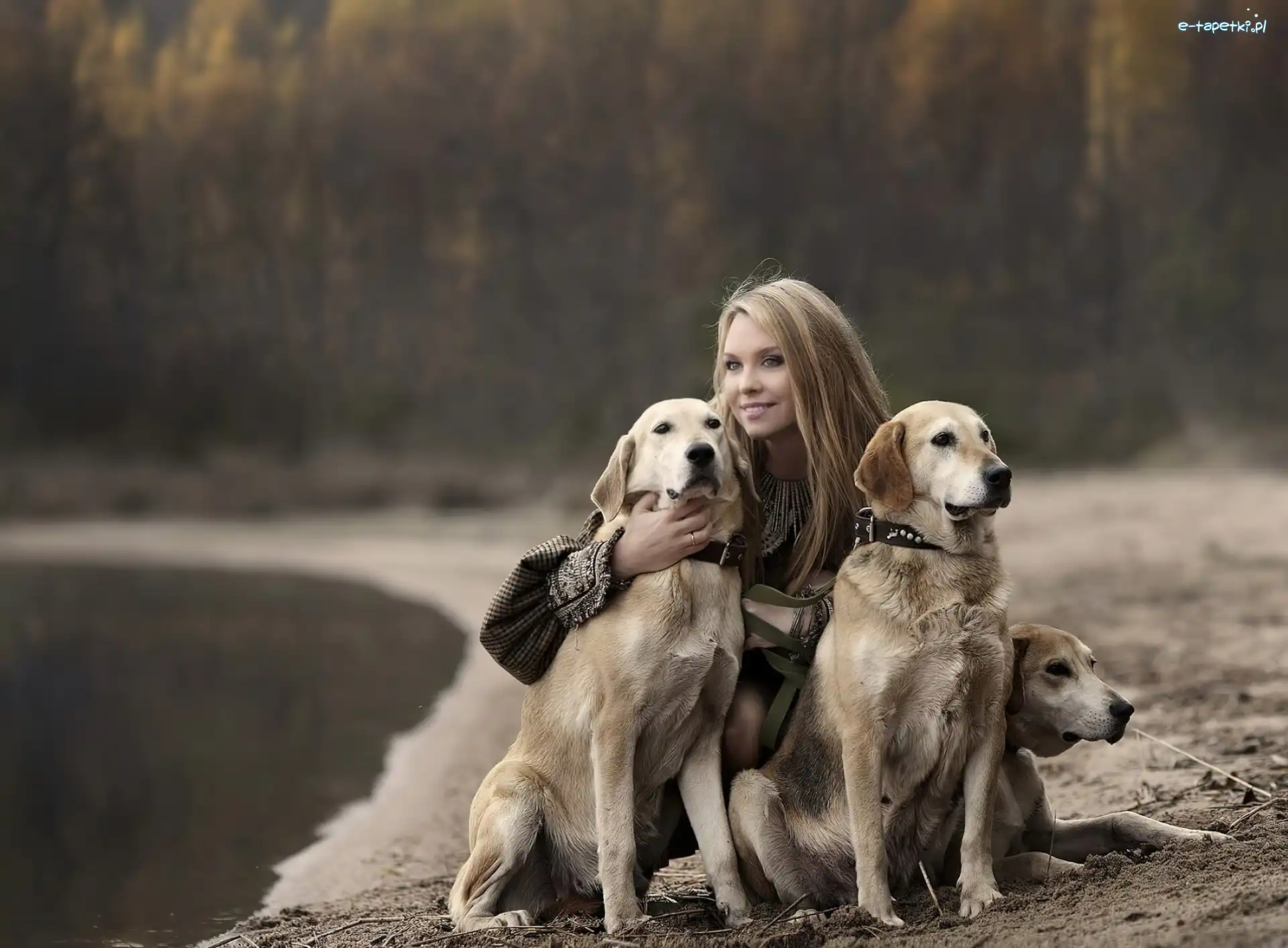Psy, Spacer, Golden Retriever, Dziewczyna