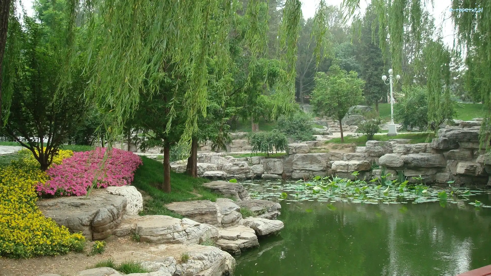 Staw, Park