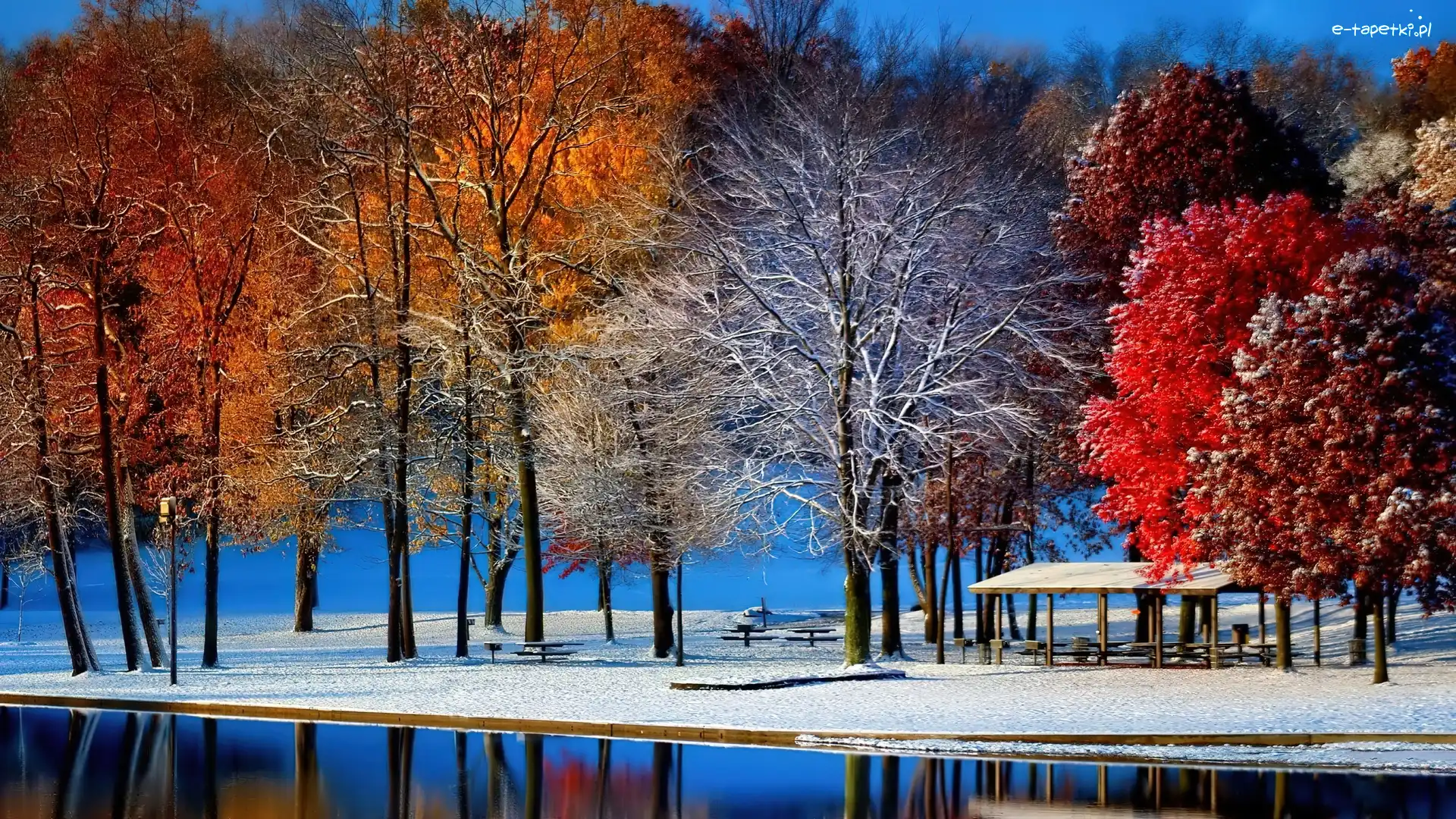Park, Jezioro, Śnieg, Drzewa