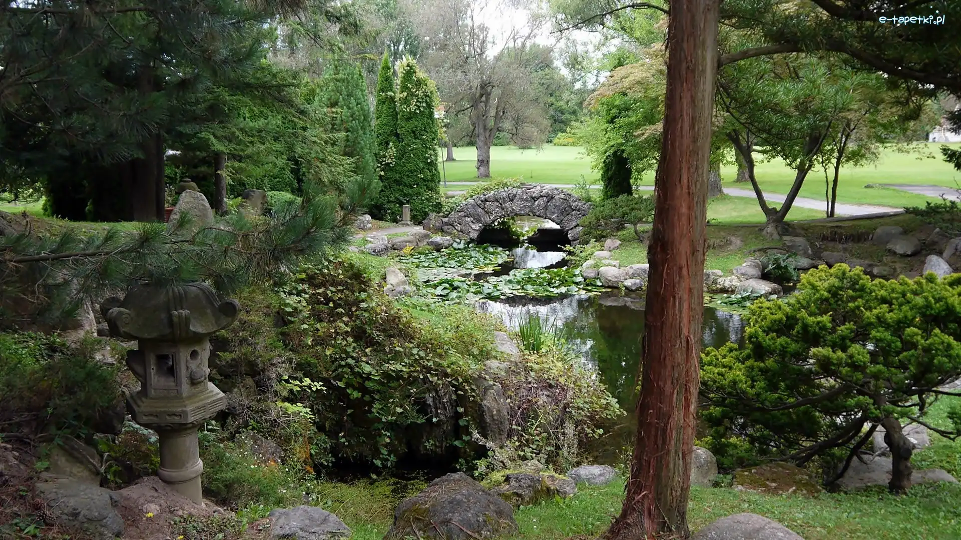 Staw, Mostek, Kamienny, Park