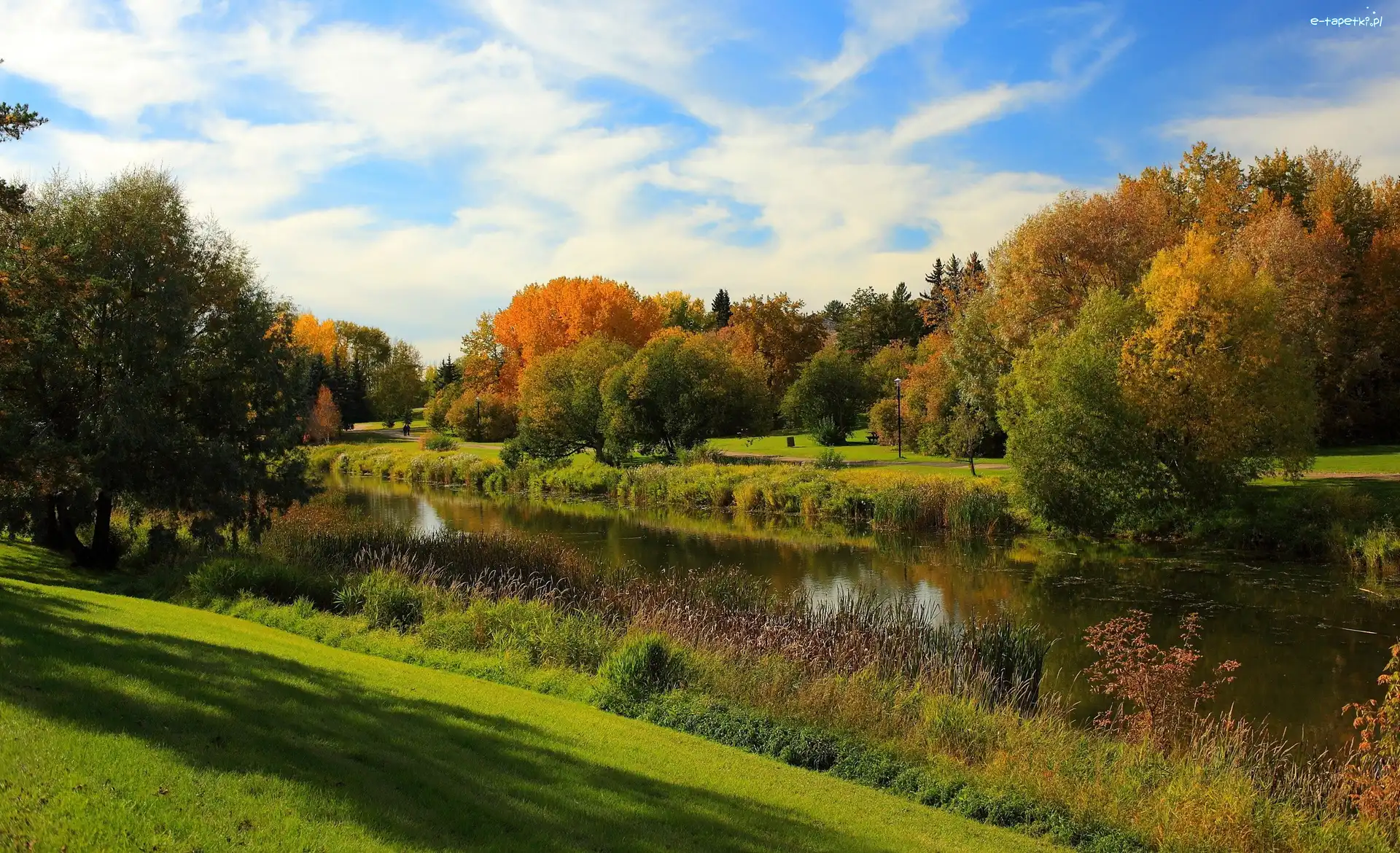 Rzeka, Kolorowe, Park, Jesień, Drzewa
