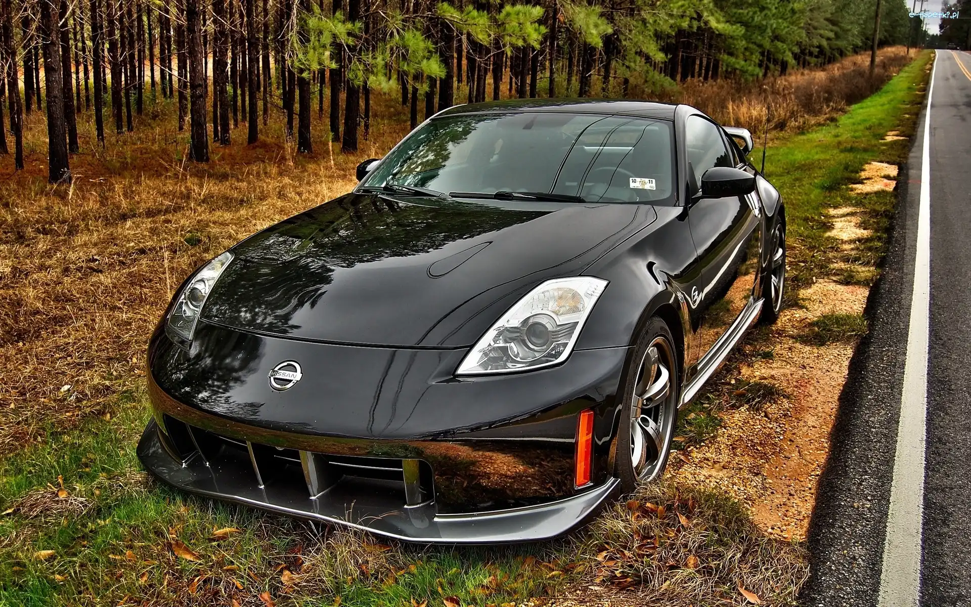 Pobocze, Las, Nissan350Z
