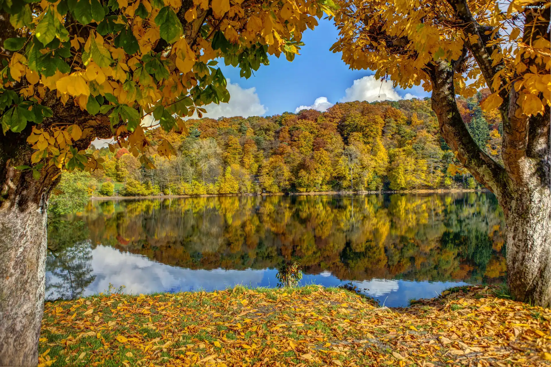 Jezioro, Lasy, Góry, Jesień, Liście