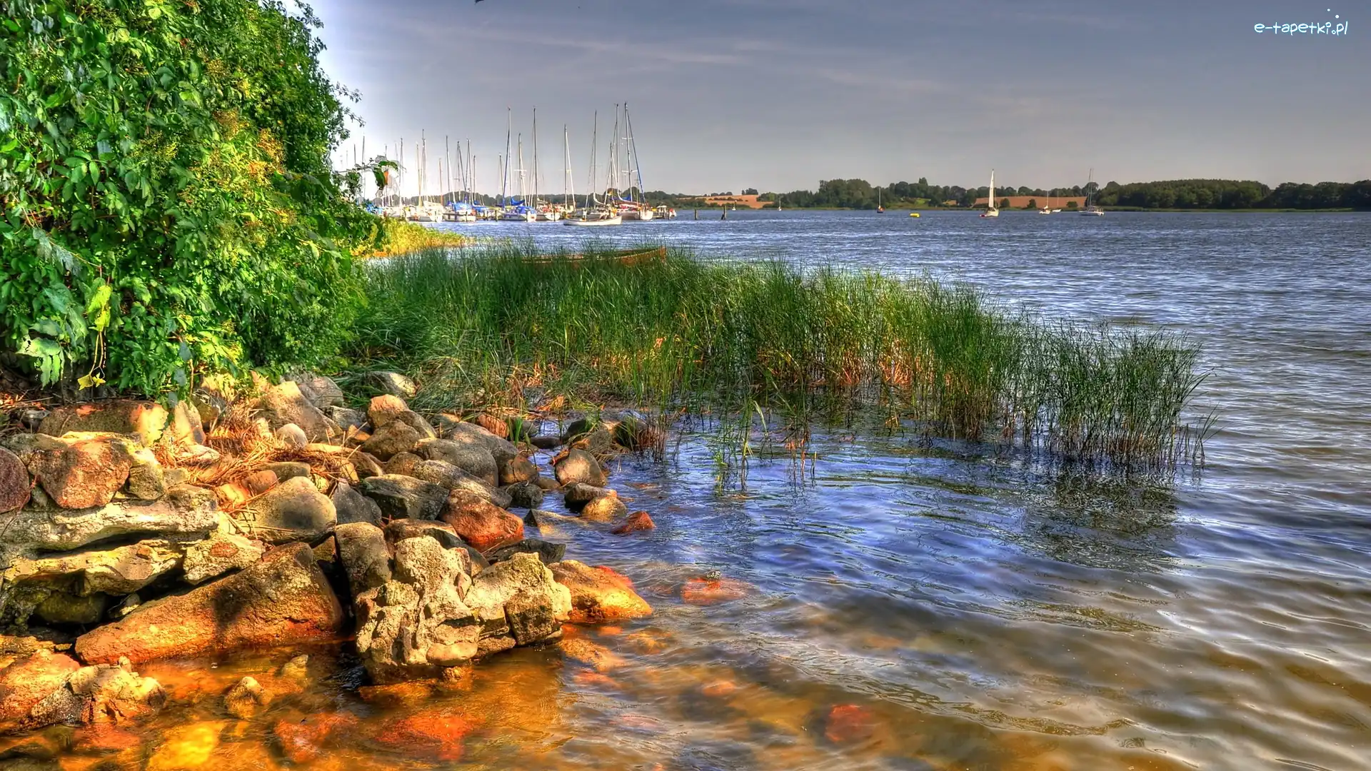Trawa, Kamienie, Rzeka