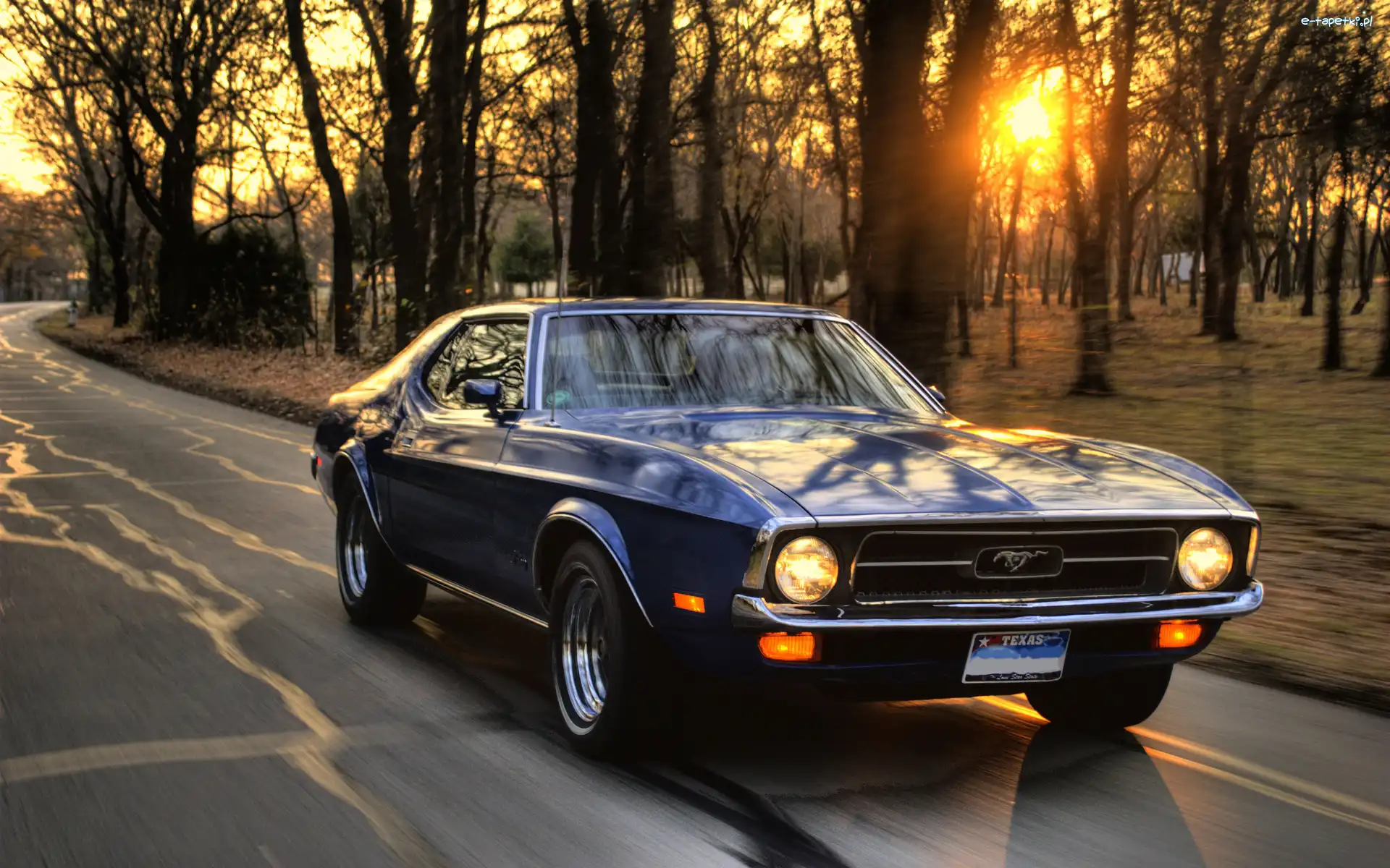 Słońca, Mustang, Ulica, Ford, Granatowy, Zachód, Park
