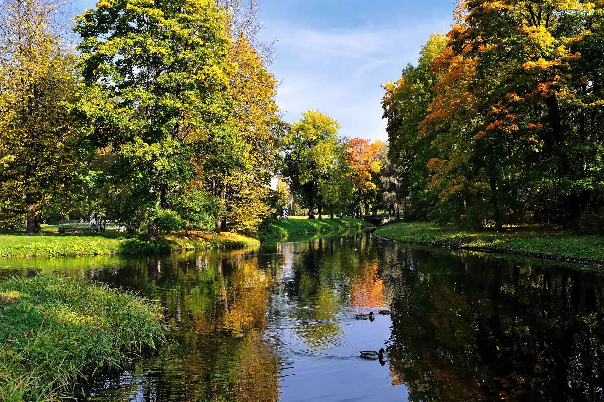 Park, Odbicie, Rzeka, Jesień