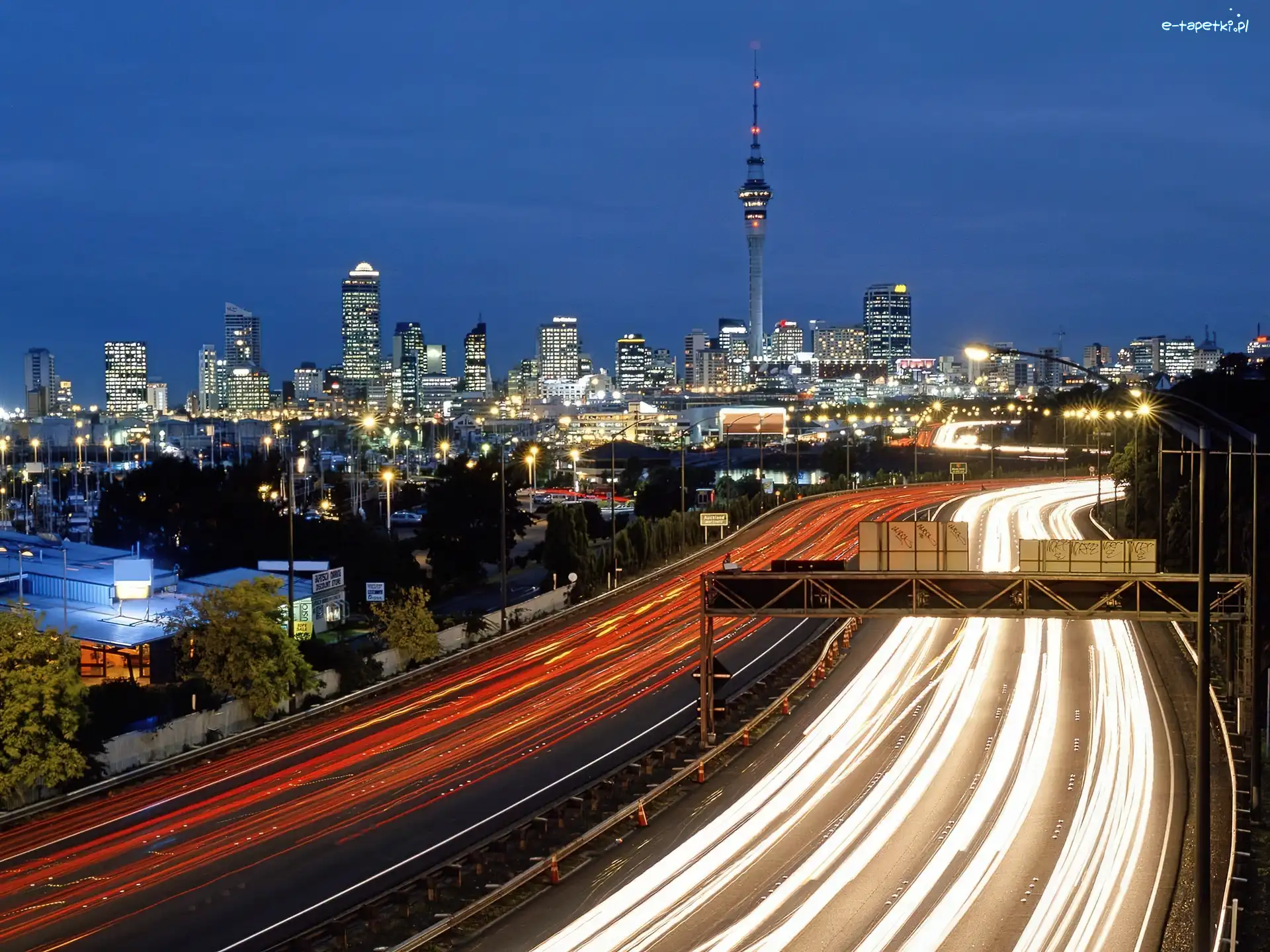 Nocą, Auckland, Panorama