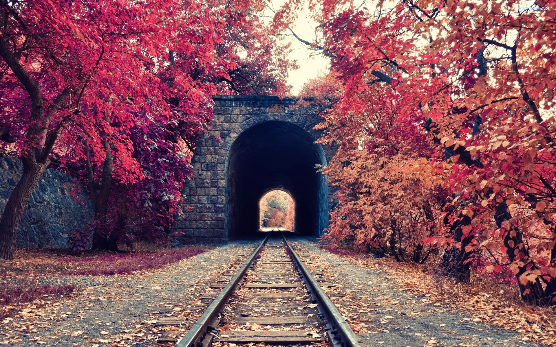 Liście, Kolejowe, Drzewa, Jesień, Tory, Tunel