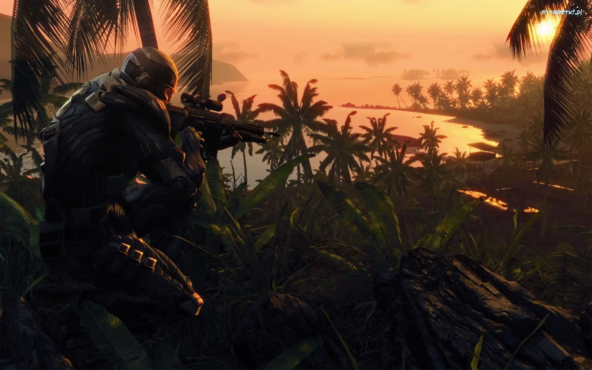 Żołnierz, Rośliny, Broń, Crysis 3