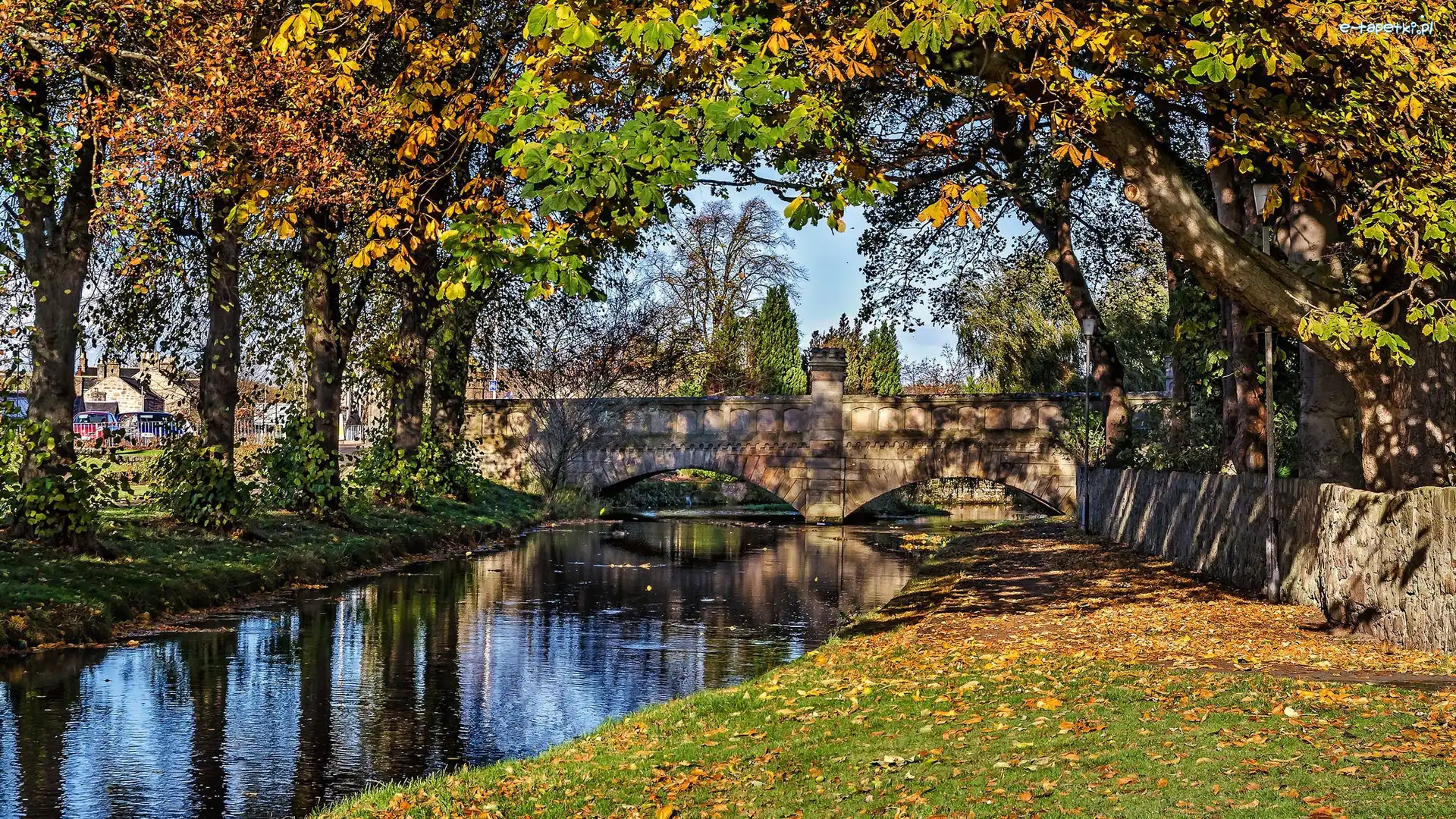 Rzeka, Drzewa, Most, Jesień, Liście