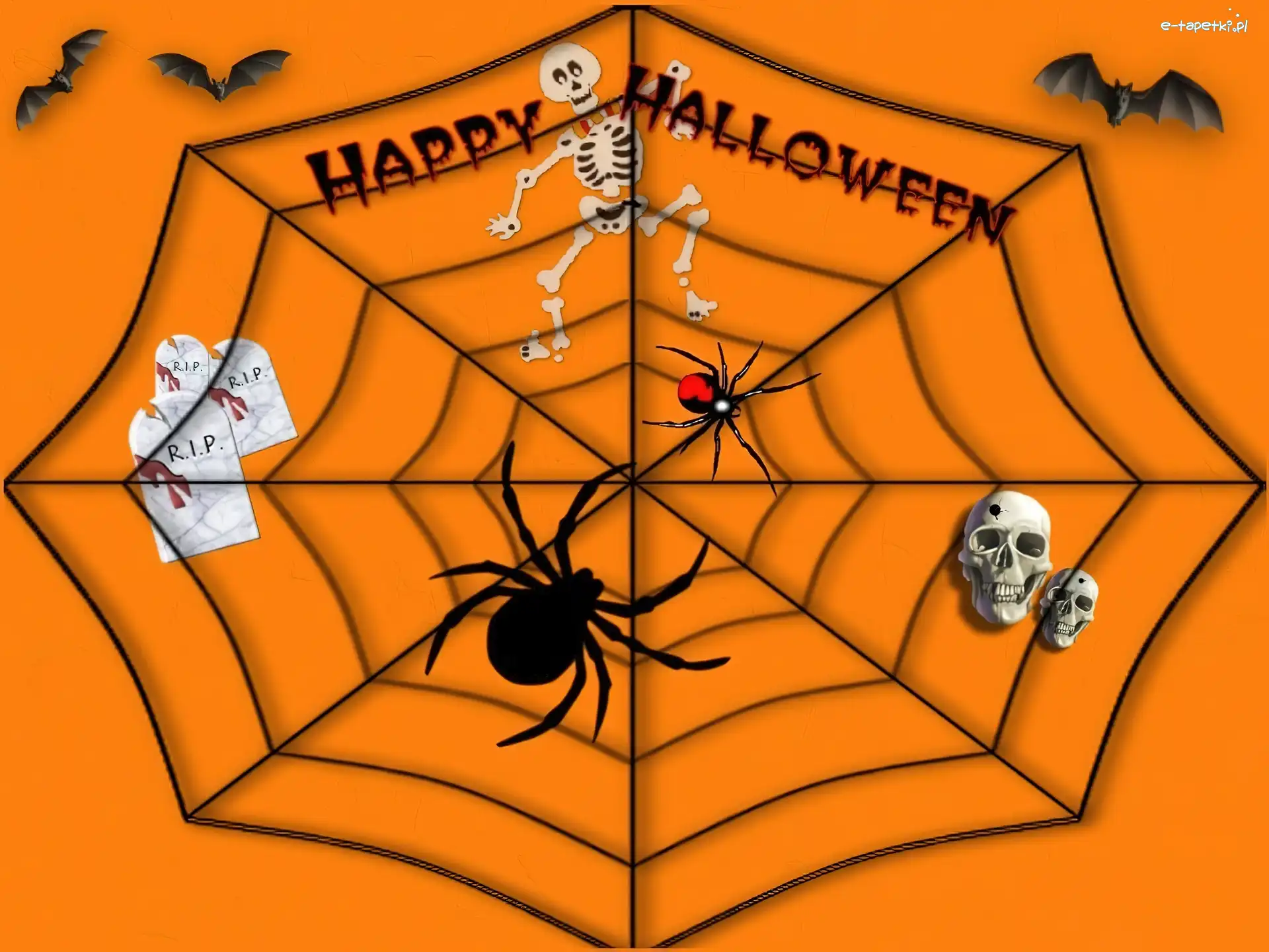 pajęczyna, pająki, Halloween