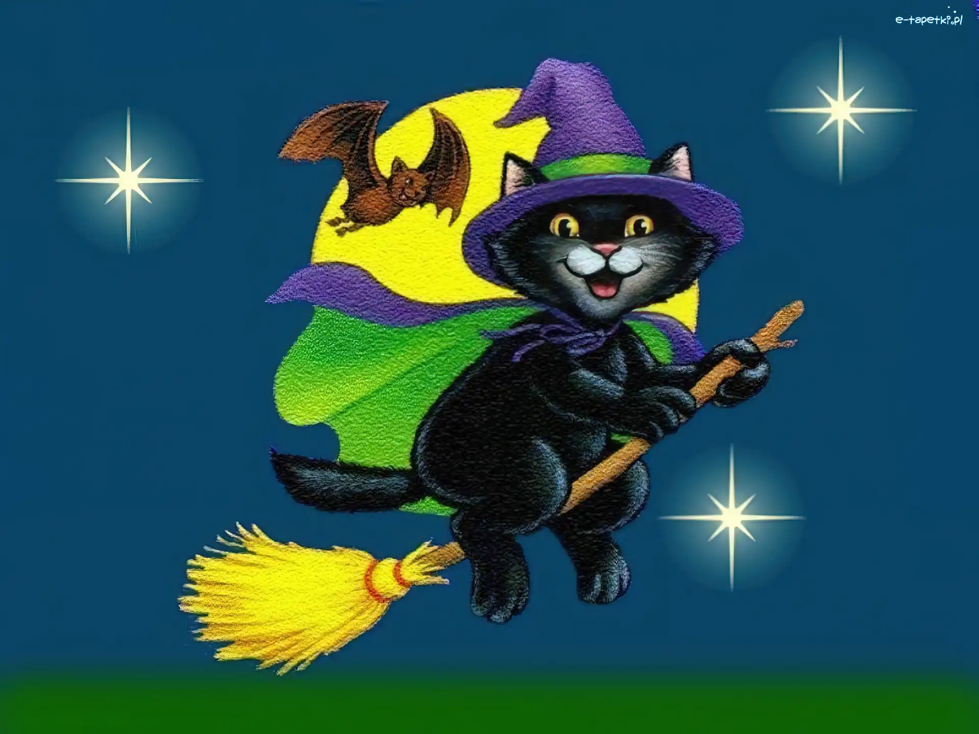 kot na miotle, nietoperz , Halloween