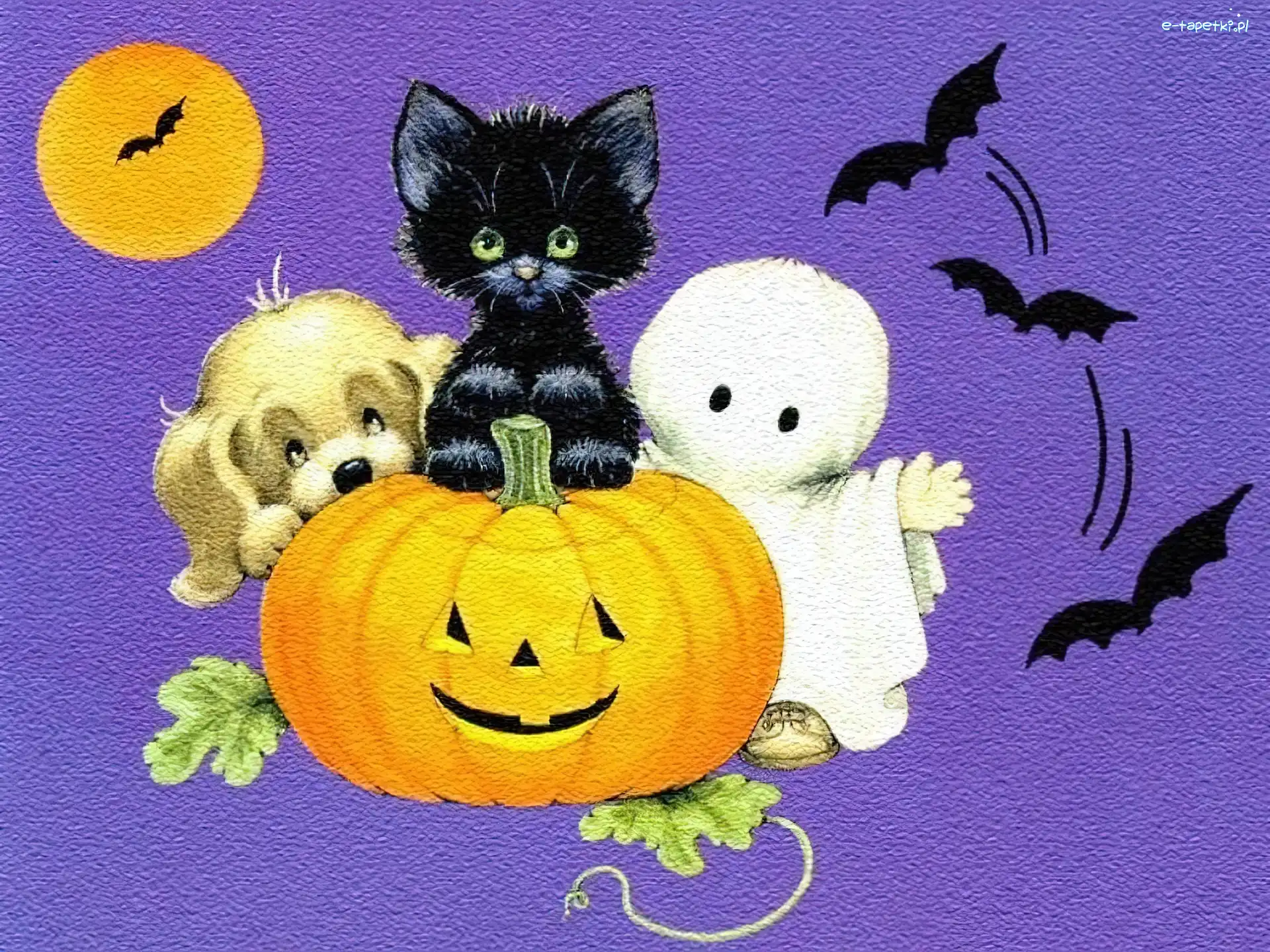 piesek, dynia, kotek , Halloween