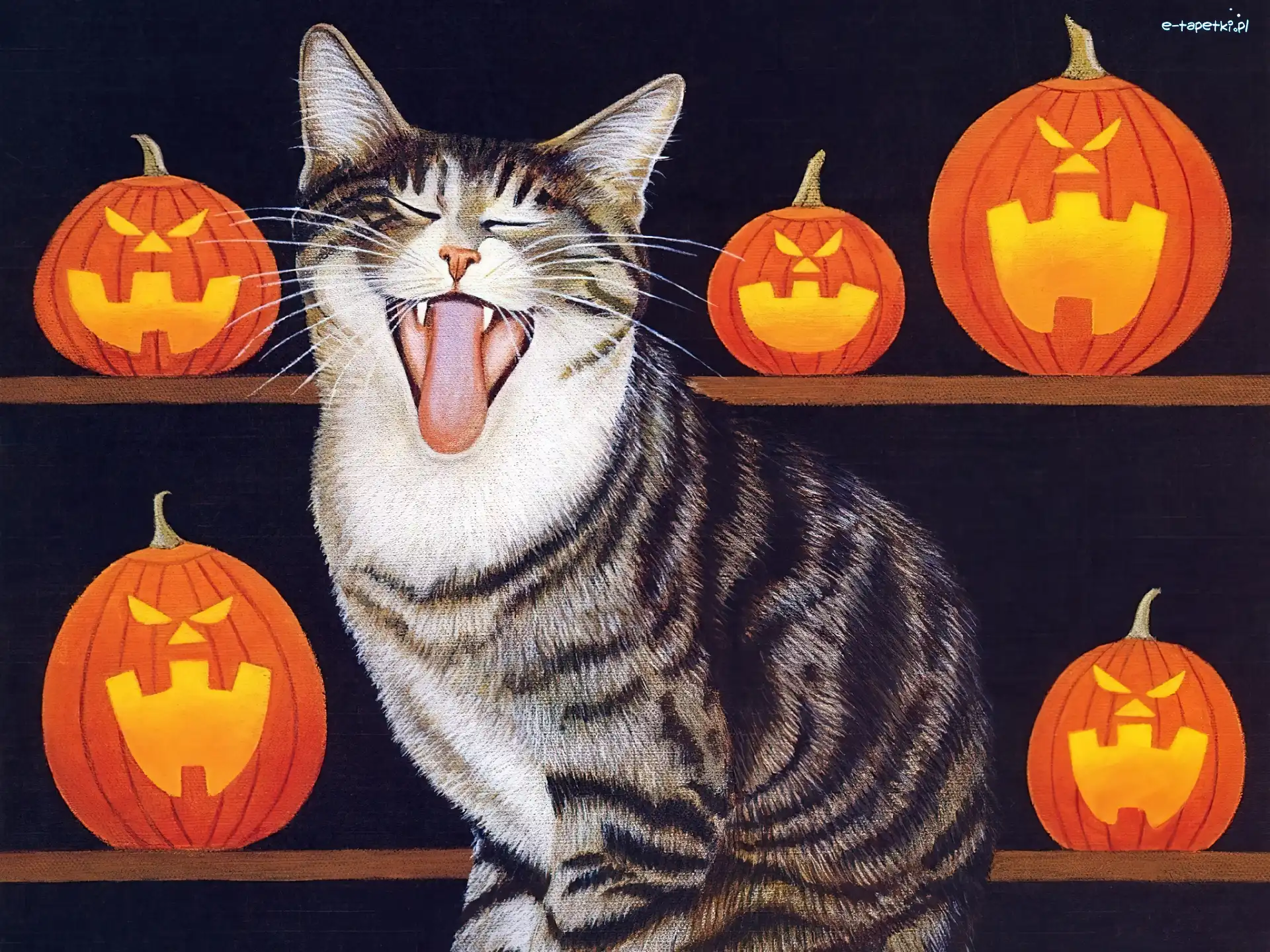 dynie, Kot, Halloween