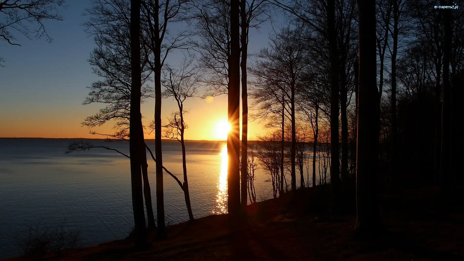 Zachód Słońca, Las, Jezioro