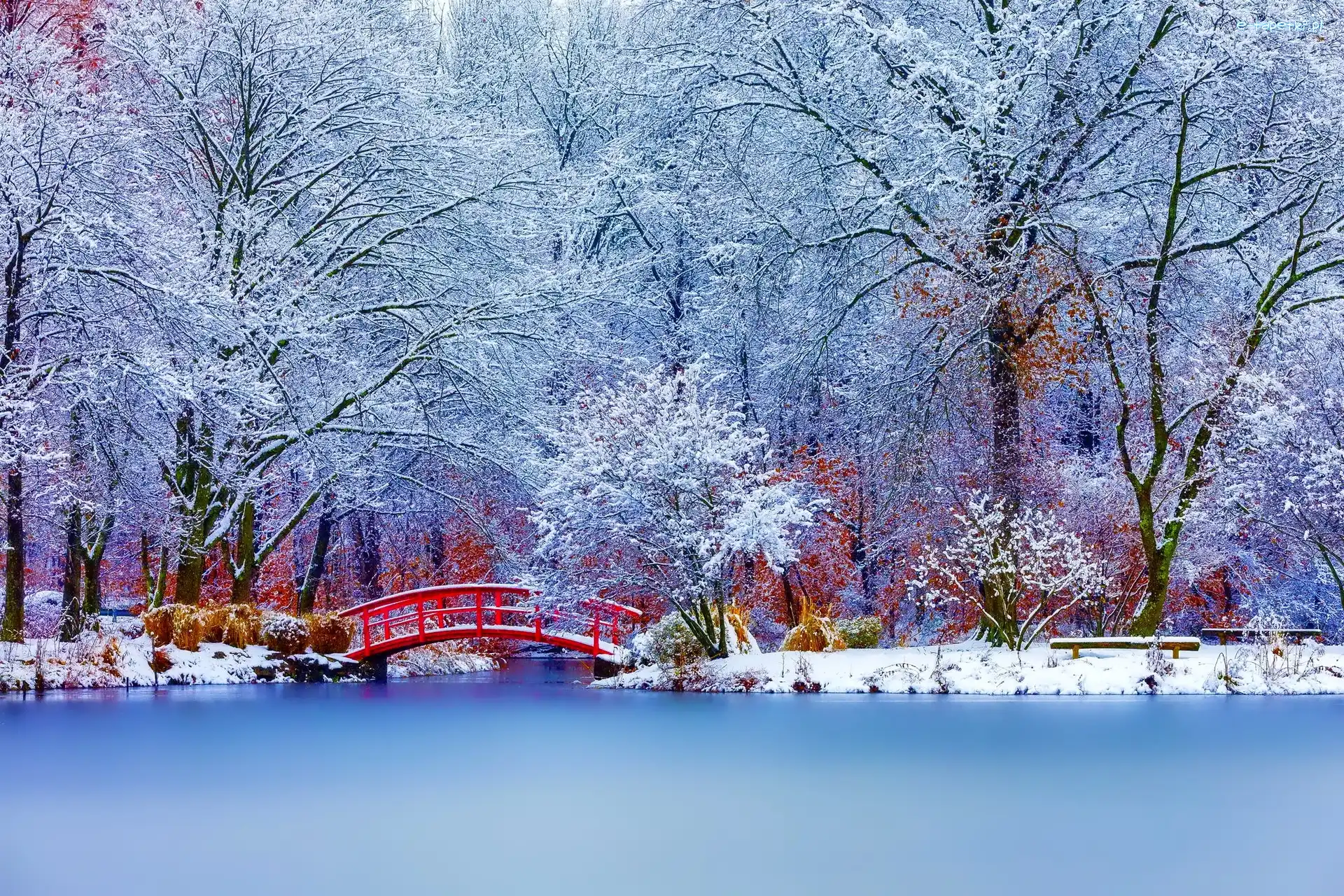 Zima, Staw, Park, Mostek, Czerwony