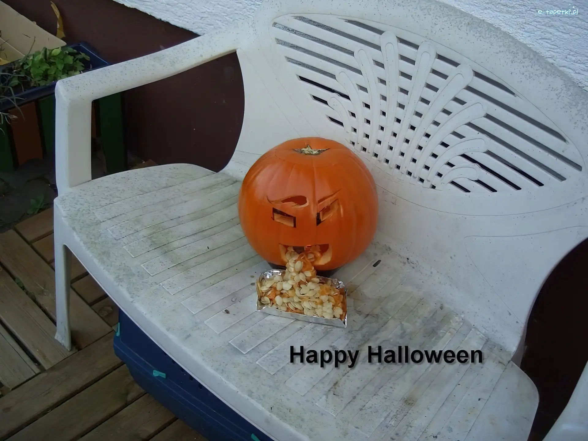 siedzenie, dynia , Halloween