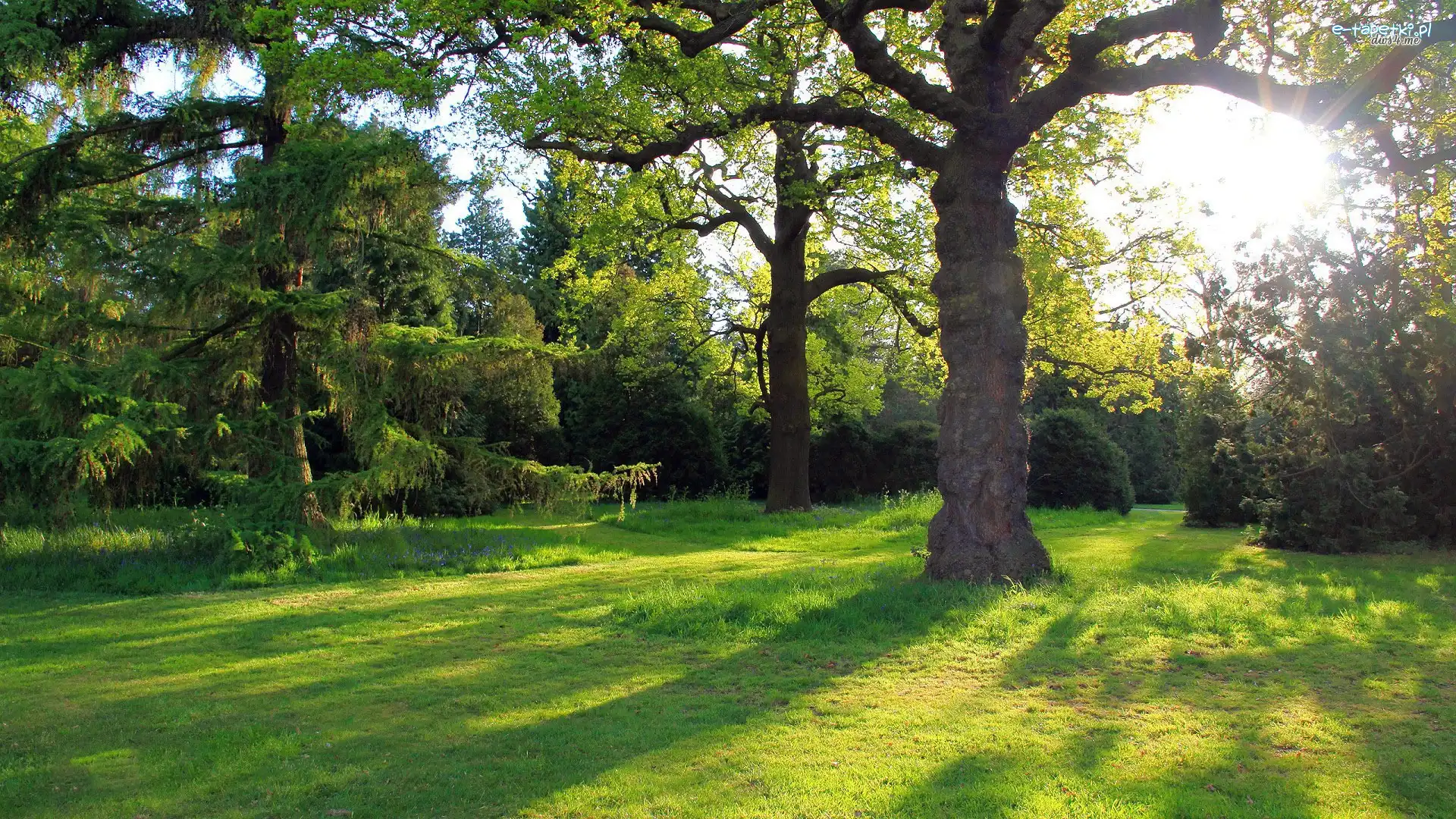 Promienie Słońca, Park
