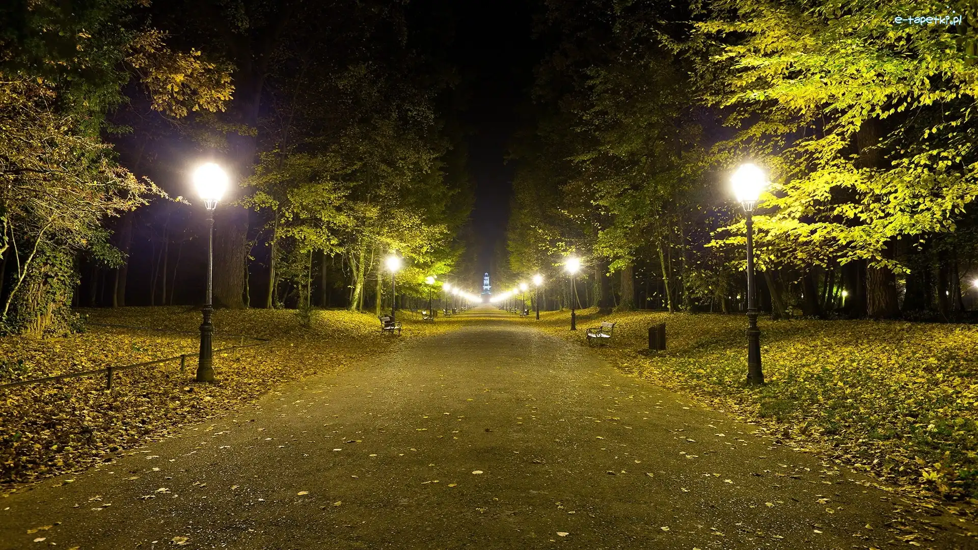 Drzewa, Oświetlenie, Alejka, Park