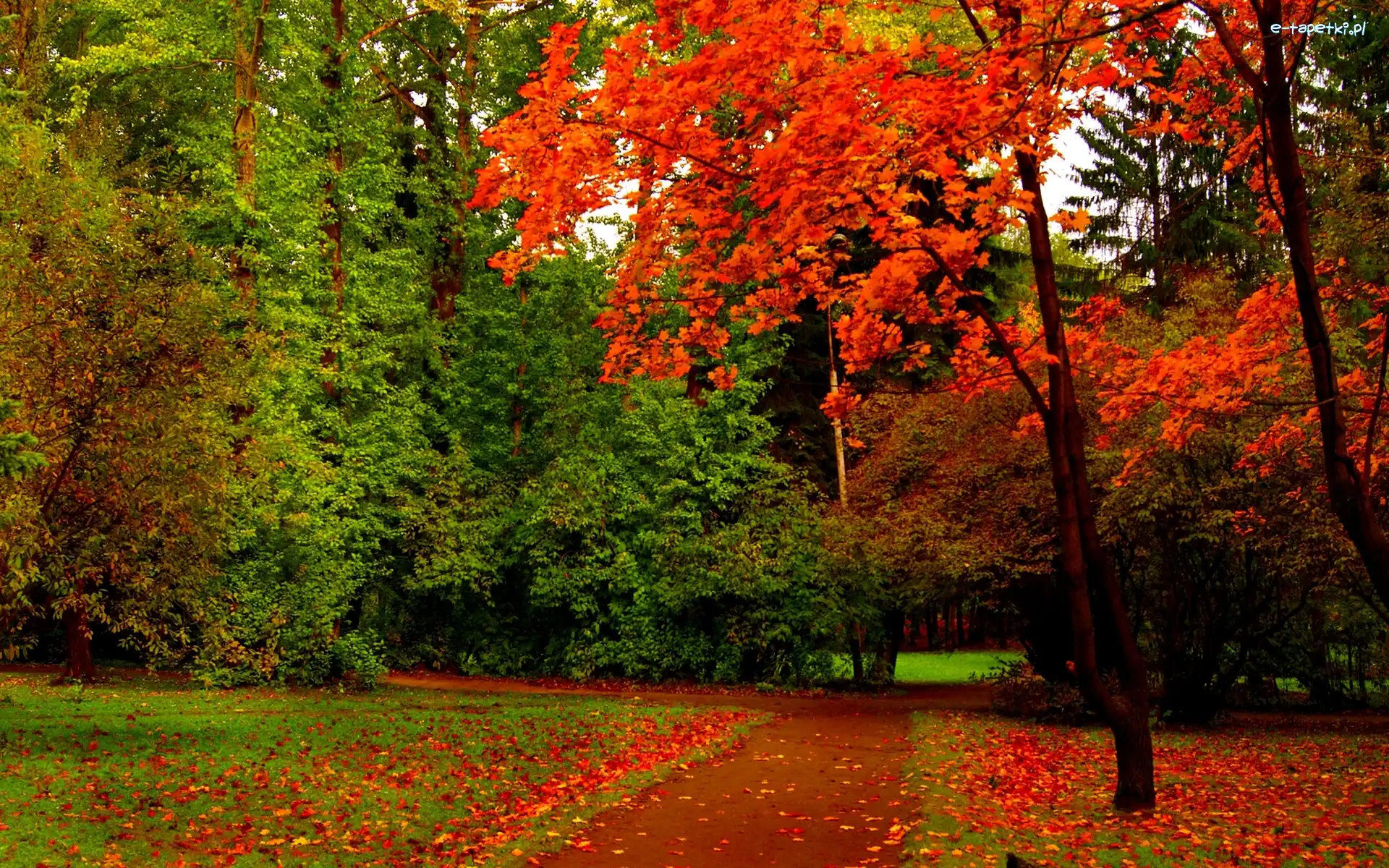 Ścieżka, Park, Jesień