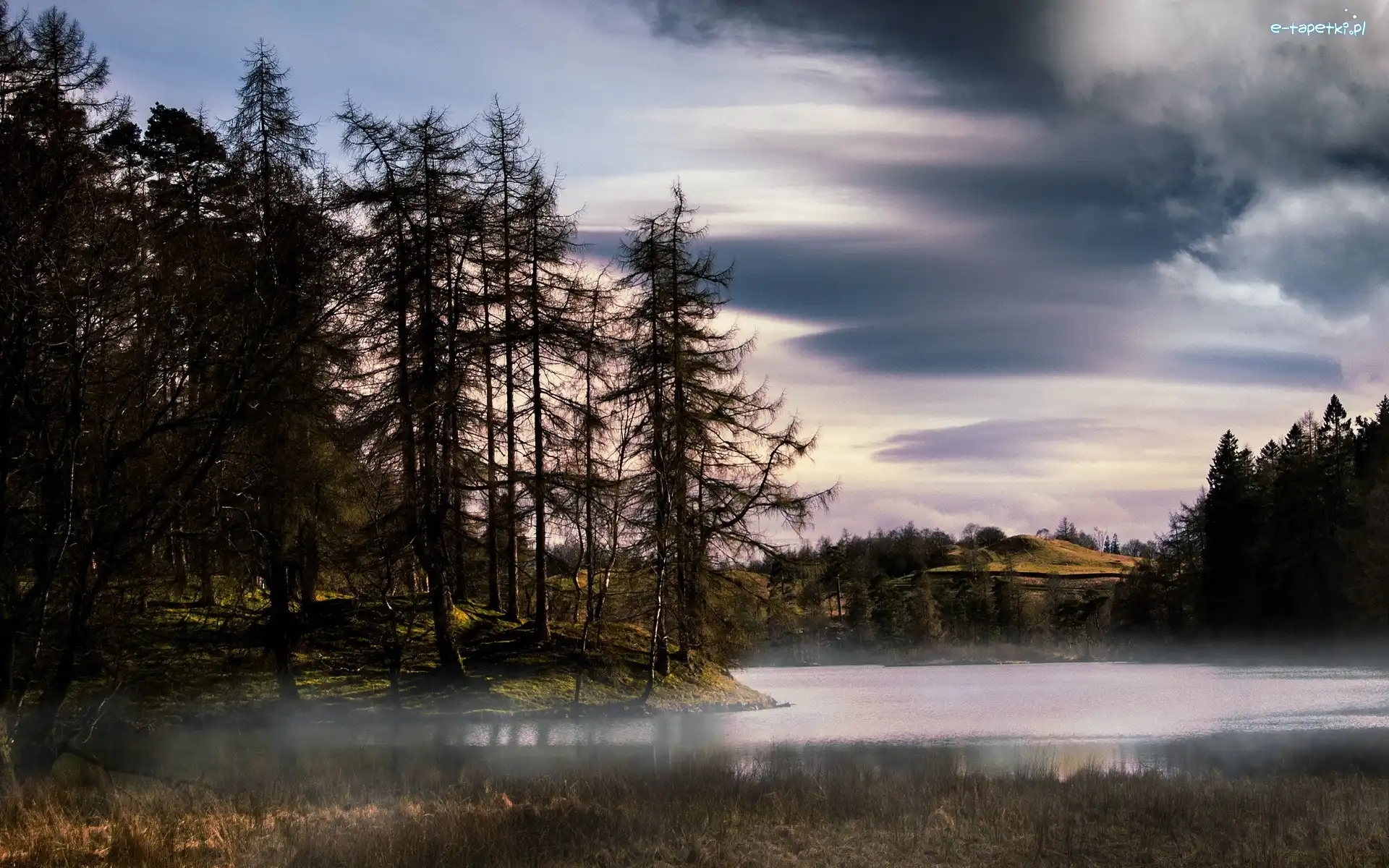 Las, Jezioro