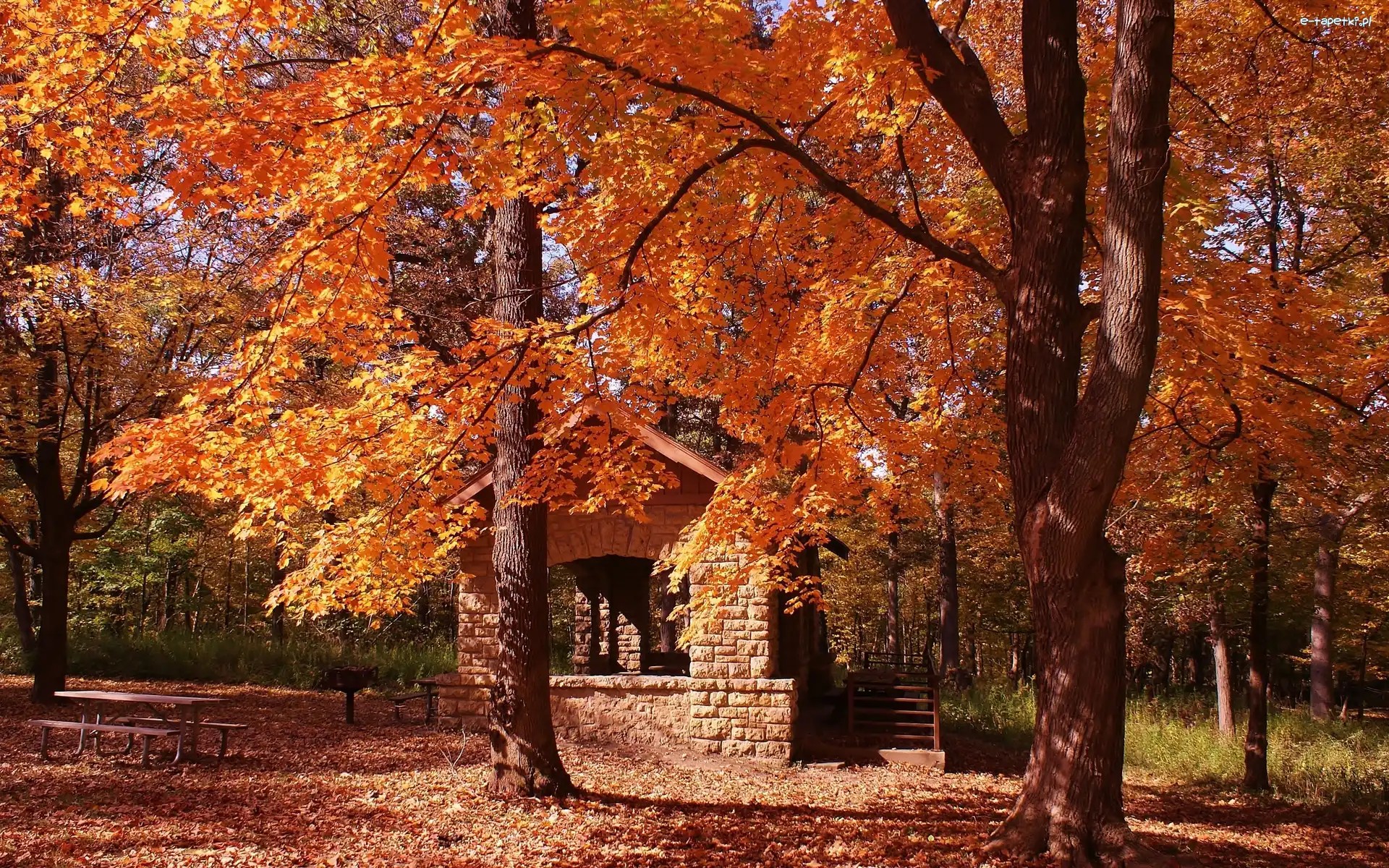 Park, Ławki, Domek, Jesień, Liście