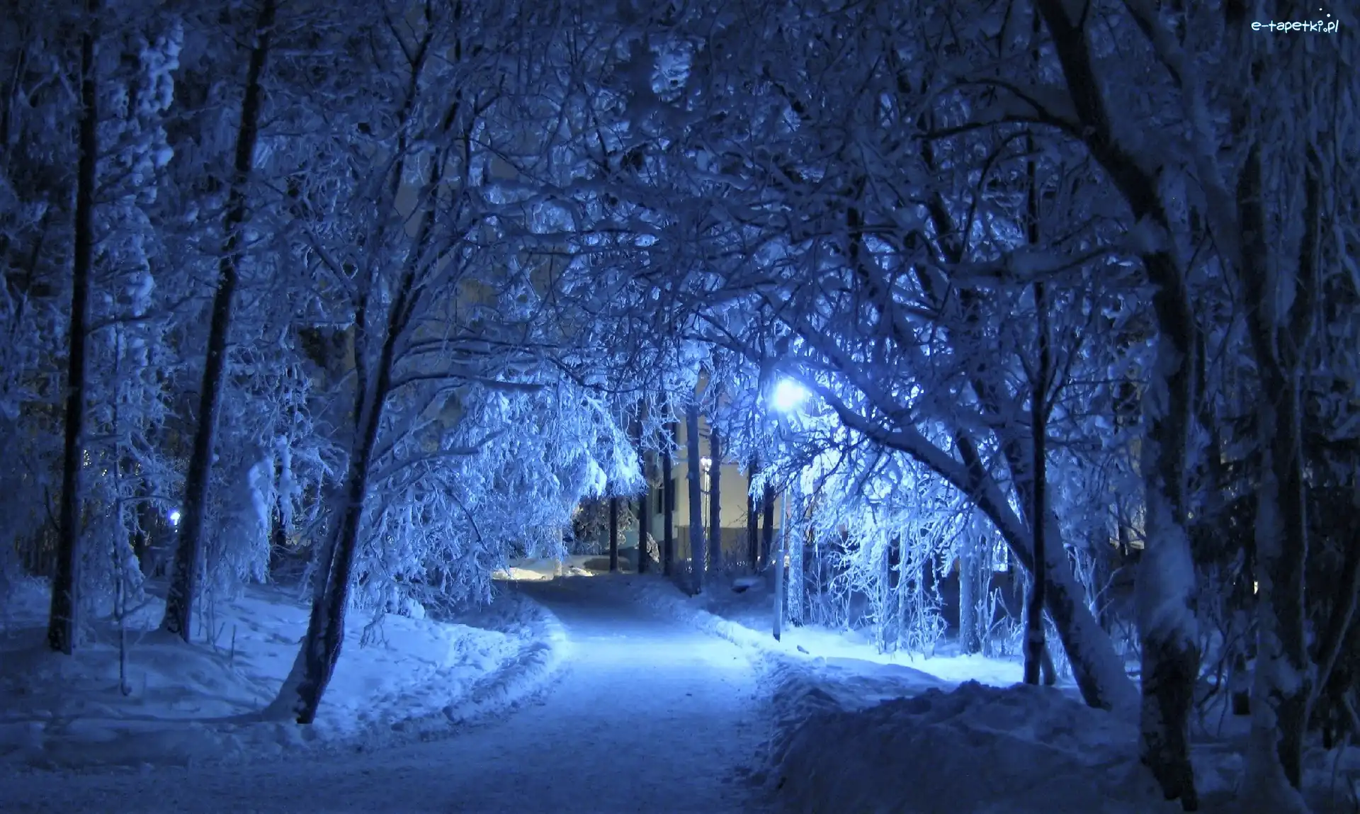 Zima, Park, Śnieg, Drzewa, Droga