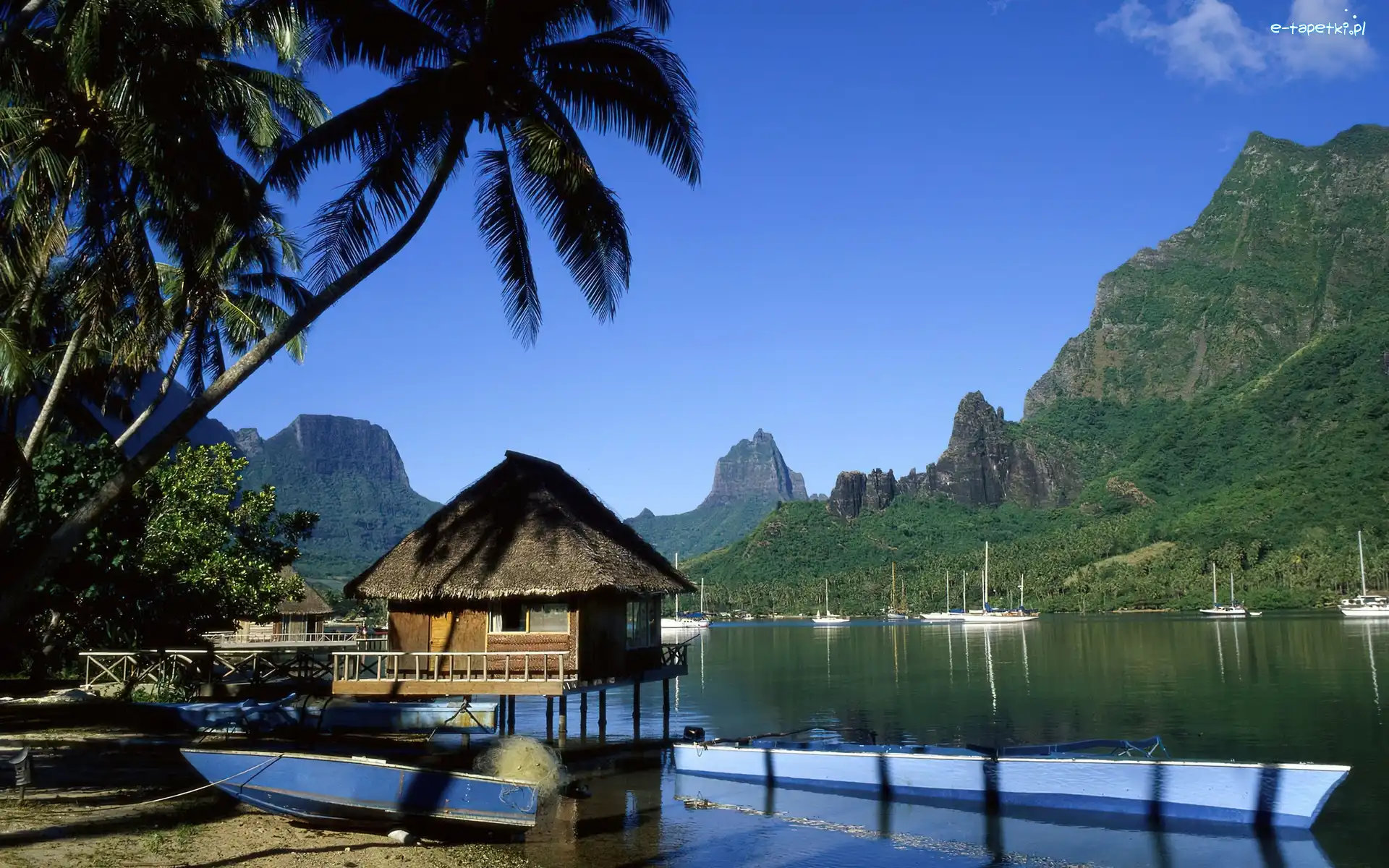 Palmy, Łodzie, Żaglówki, Góry, Zatoka Cooka, Wyspa Moorea