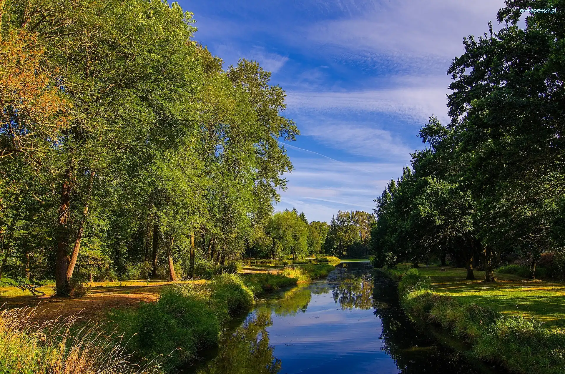 Park, Zieleń, Rzeka, Lato
