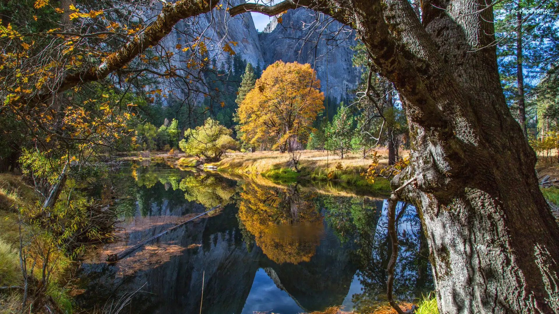 Drzewa, Park Narodowy Yosemite, Góry, Stan Kalifornia, Stany Zjednoczone, Jesień, Rzeka