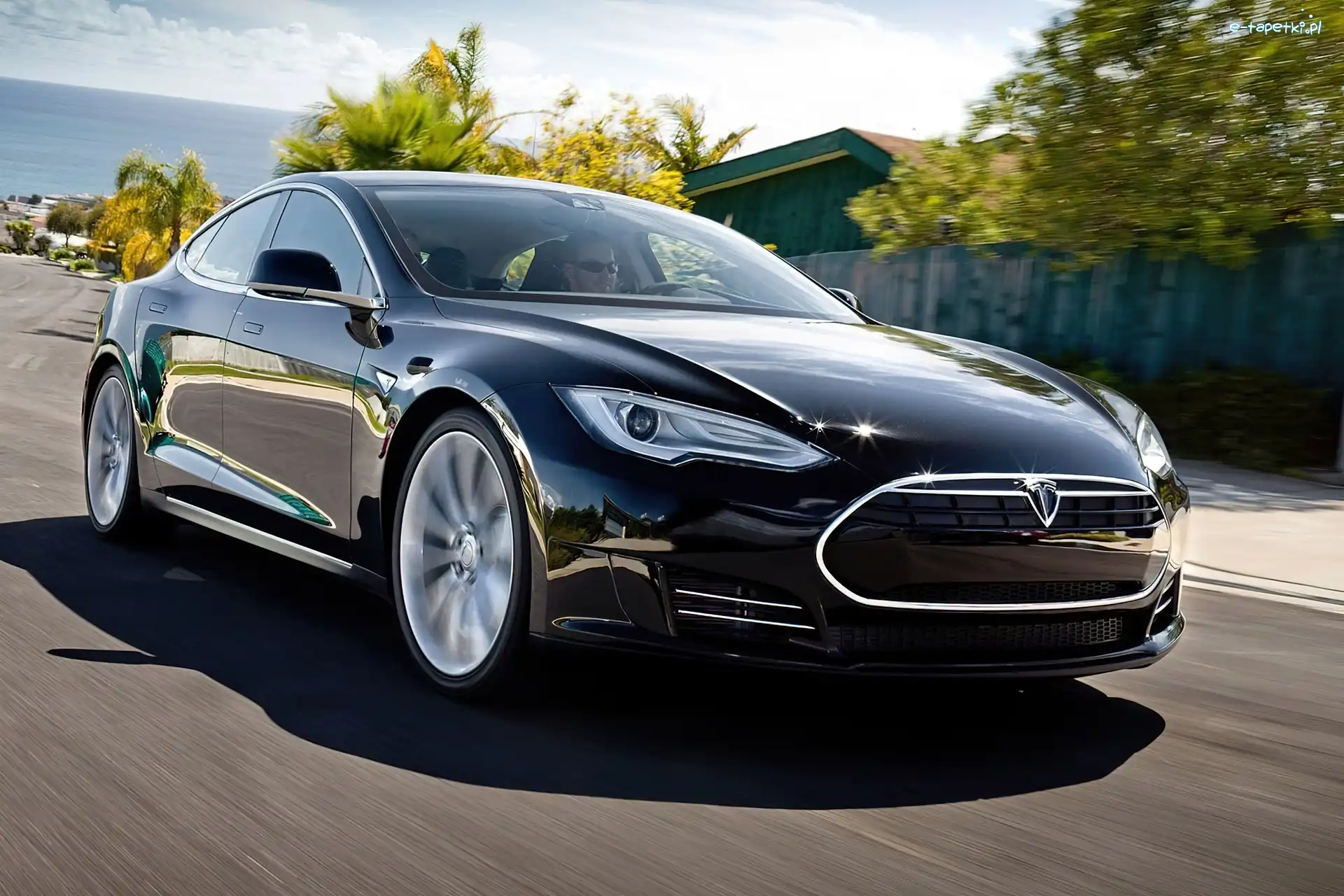 S, Model, Tesla